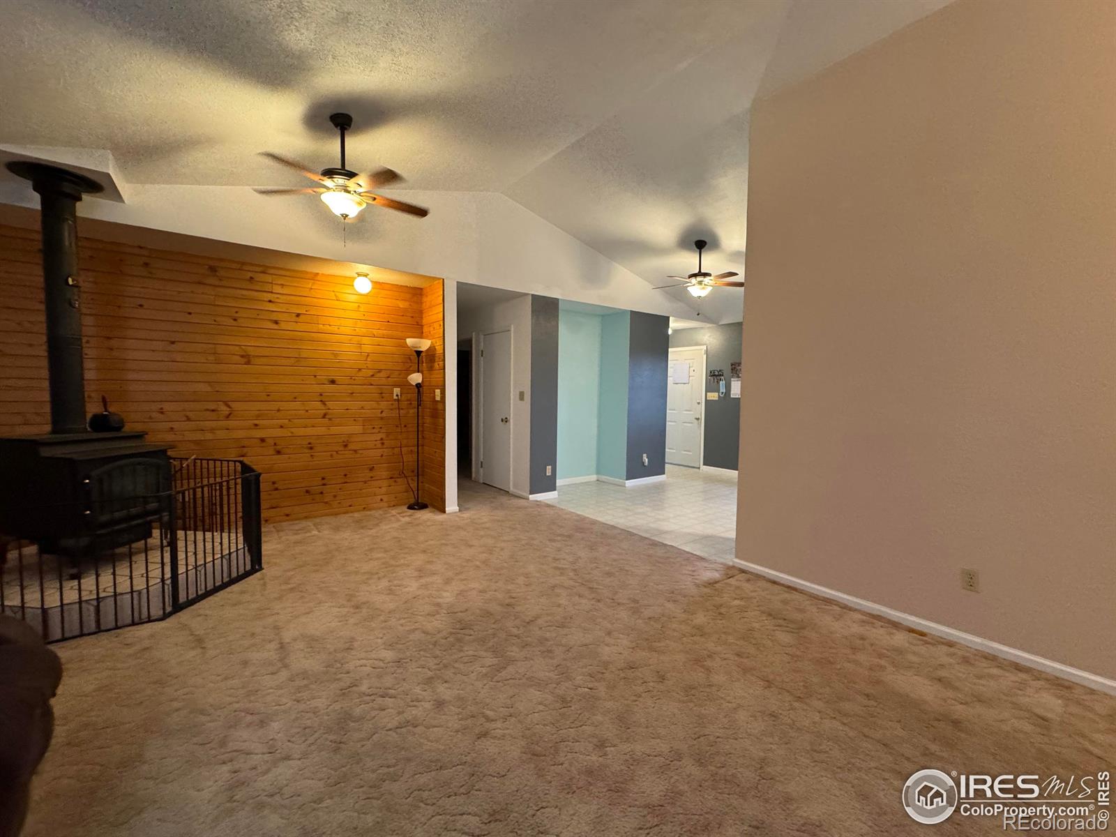 MLS Image #4 for 553  garfield street,walden, Colorado