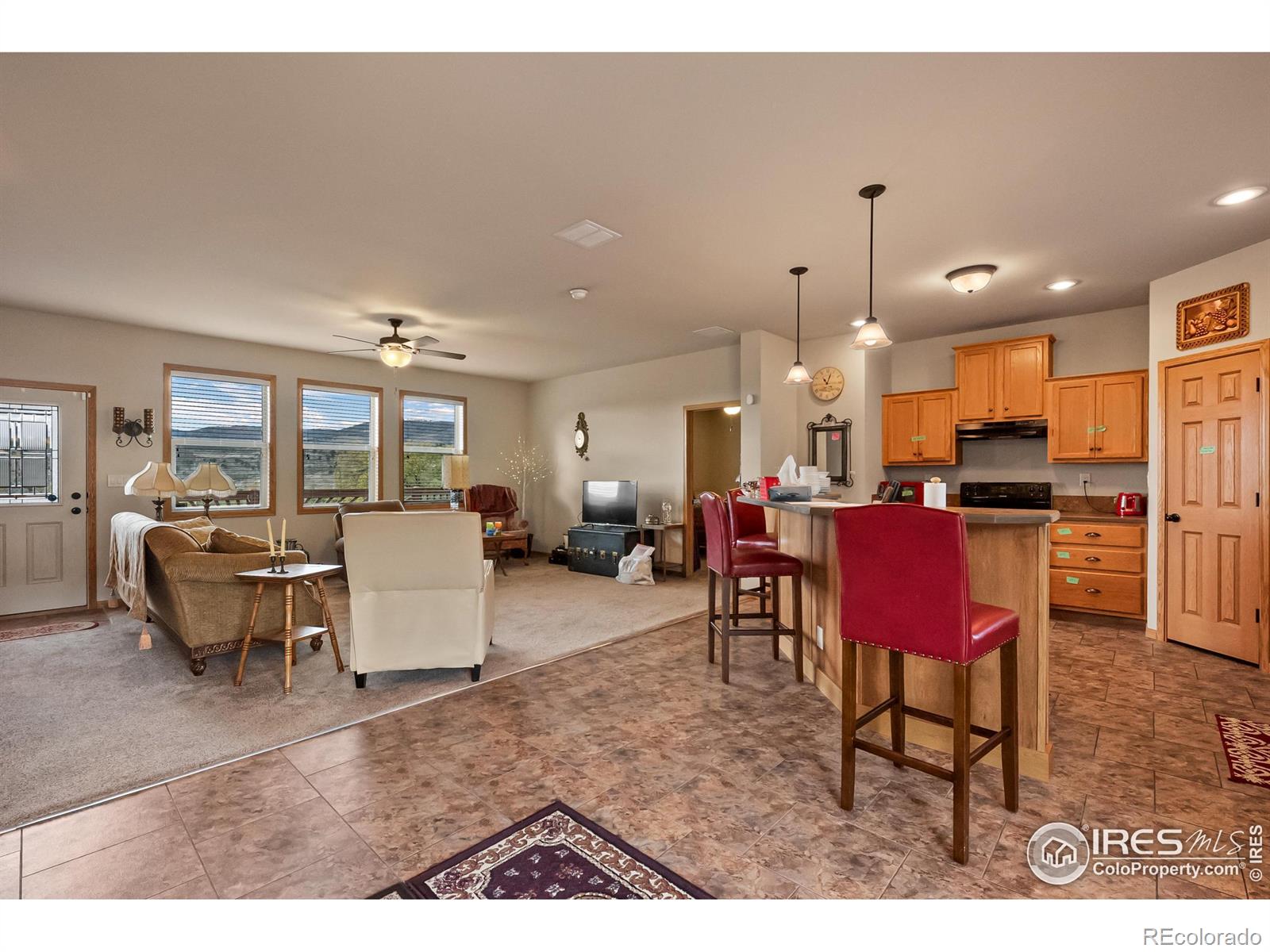 MLS Image #28 for 9164  buckhorn road,loveland, Colorado