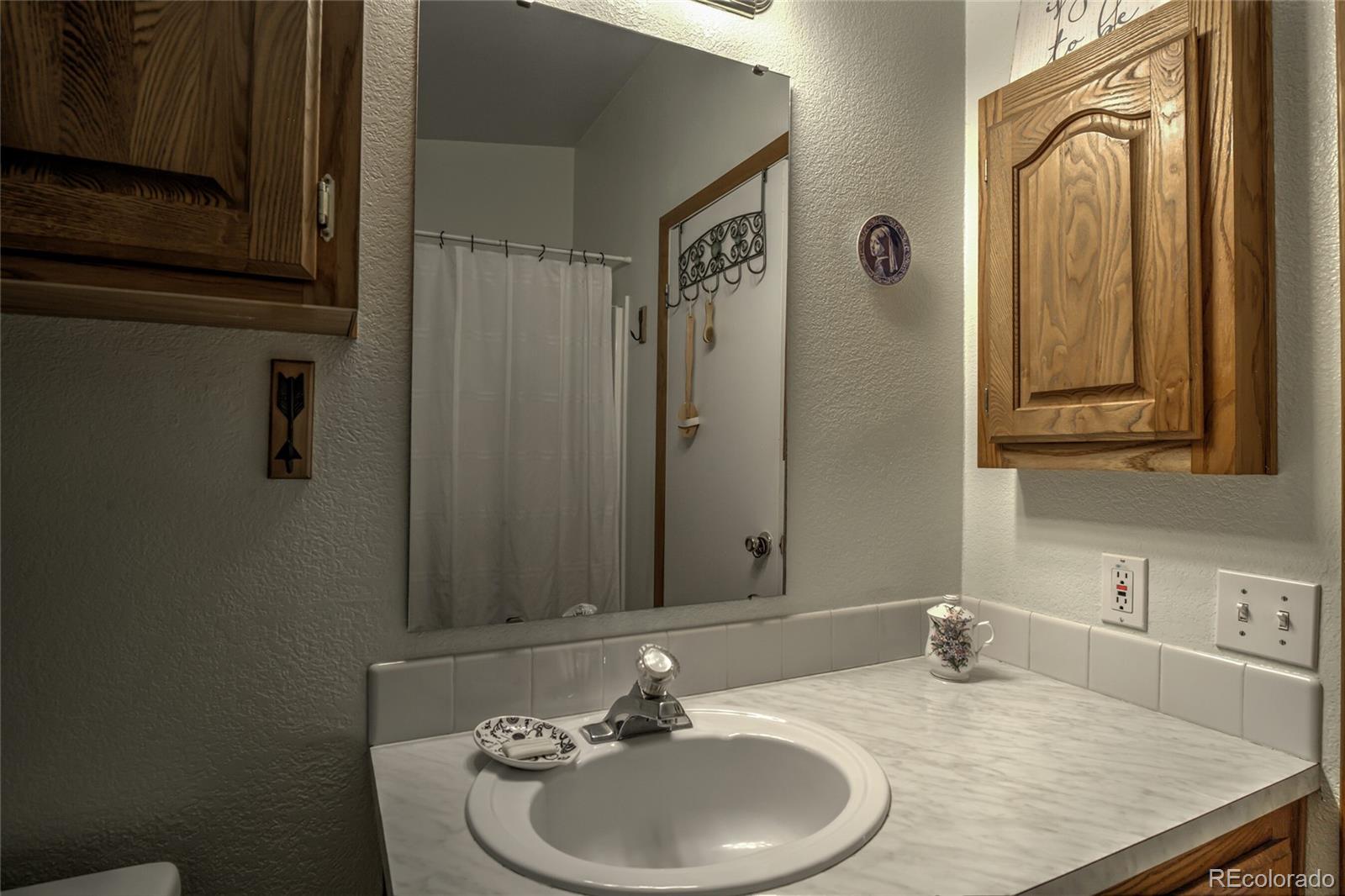 MLS Image #12 for 203  timothy court,fairplay, Colorado