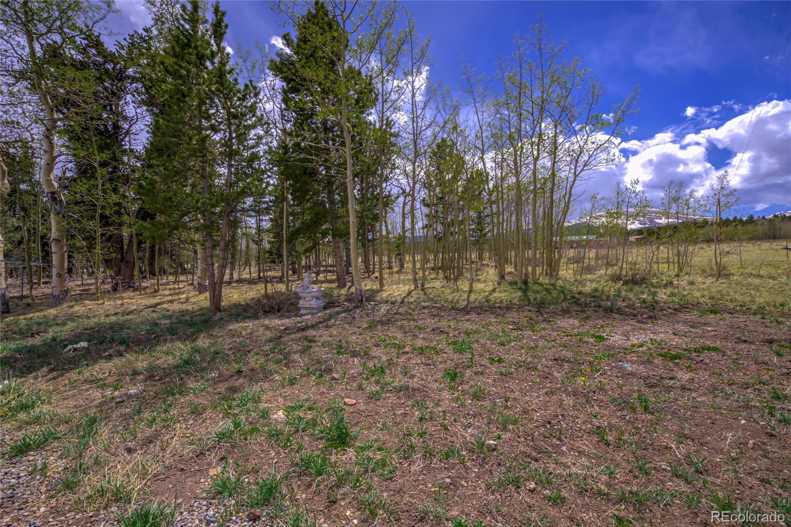 MLS Image #27 for 203  timothy court,fairplay, Colorado