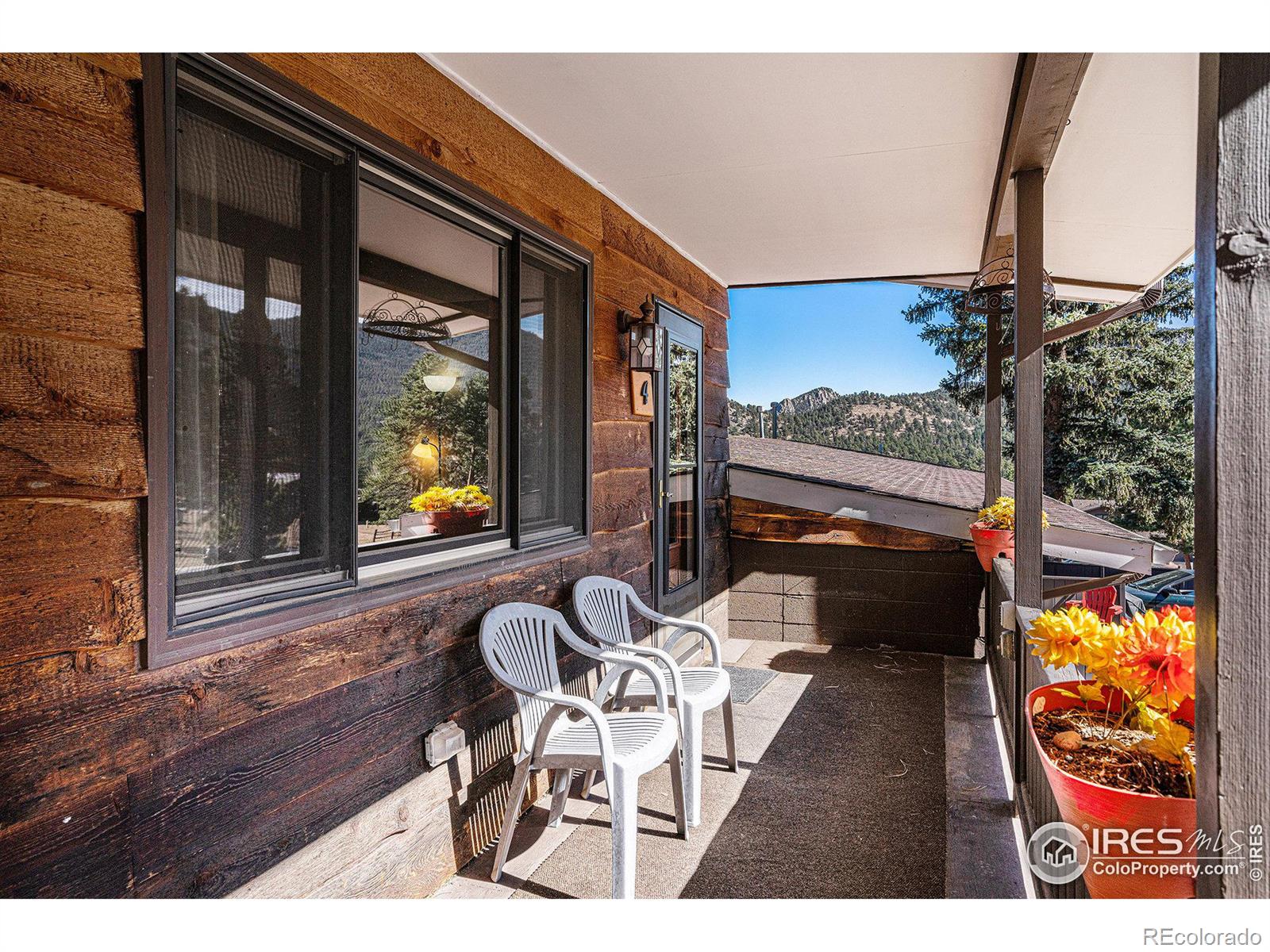 MLS Image #2 for 1250 s saint vrain avenue,estes park, Colorado