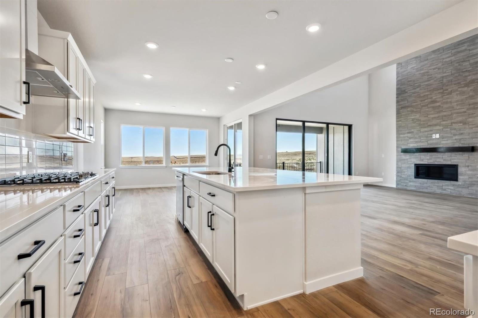 MLS Image #17 for 13710  emerald lake street,parker, Colorado
