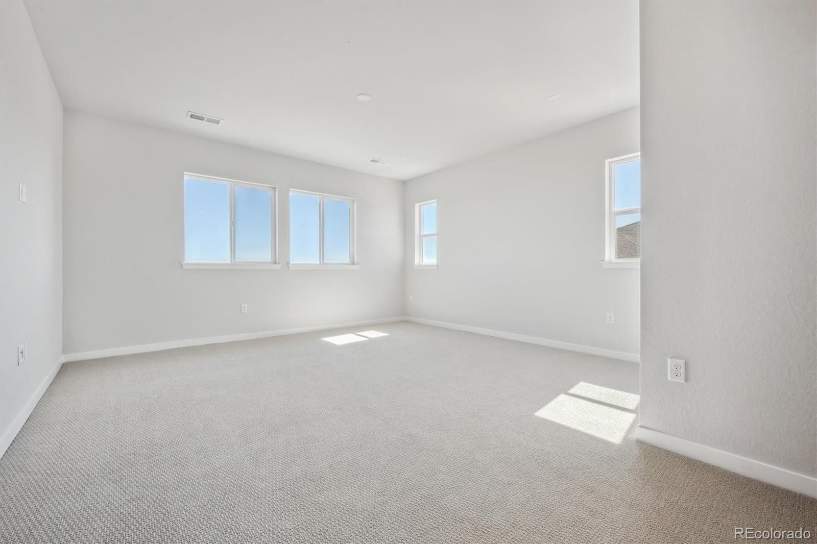 MLS Image #31 for 13710  emerald lake street,parker, Colorado