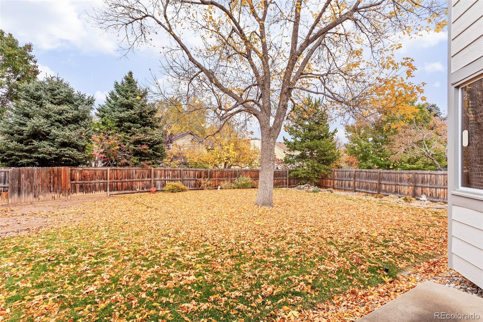 MLS Image #31 for 11115 w glasgow avenue,littleton, Colorado