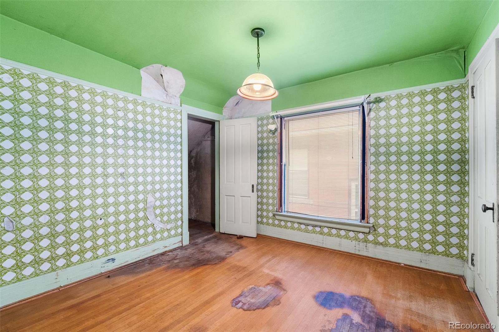 MLS Image #22 for 1234 n downing street,denver, Colorado