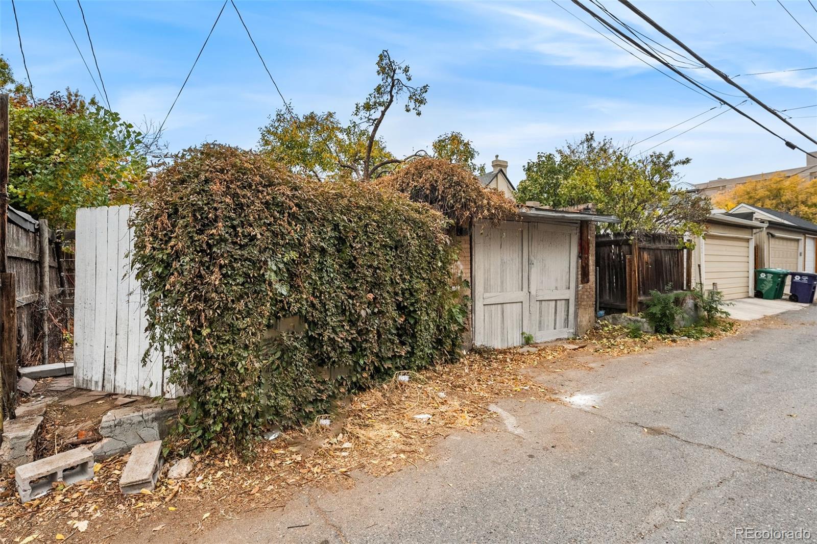 MLS Image #36 for 1234 n downing street,denver, Colorado