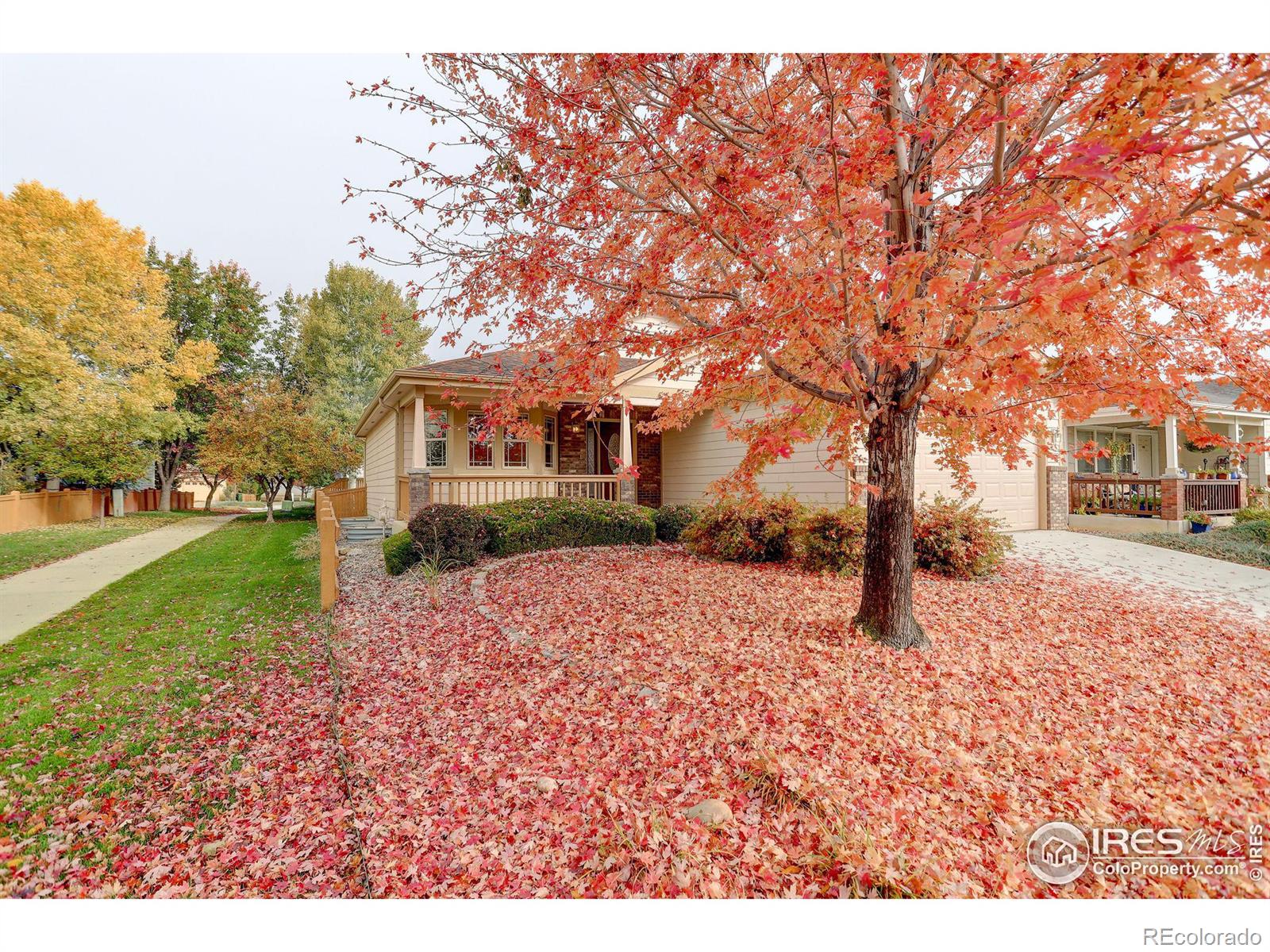 MLS Image #0 for 2293  paonia street,loveland, Colorado