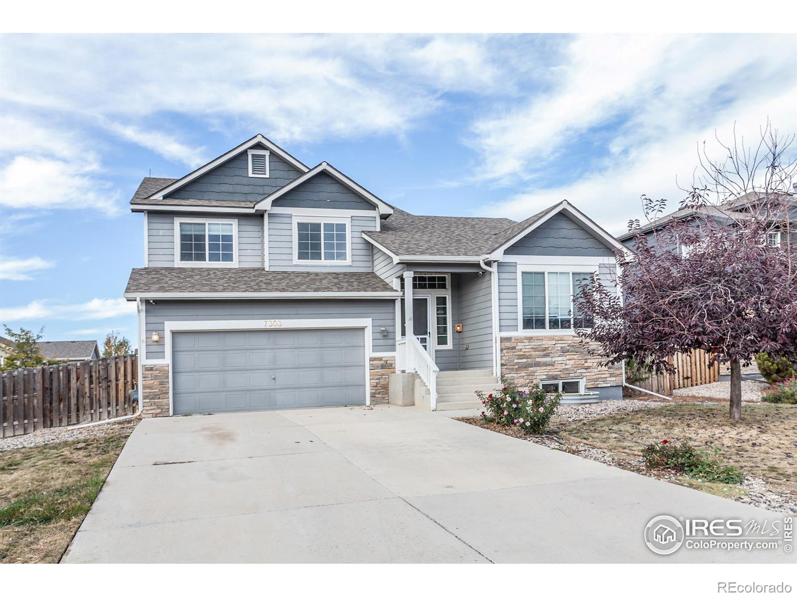 CMA Image for 7303  andover street,Wellington, Colorado