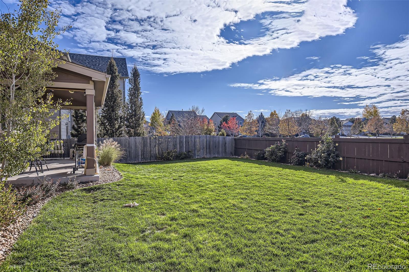 MLS Image #28 for 5681  edgevale street,timnath, Colorado