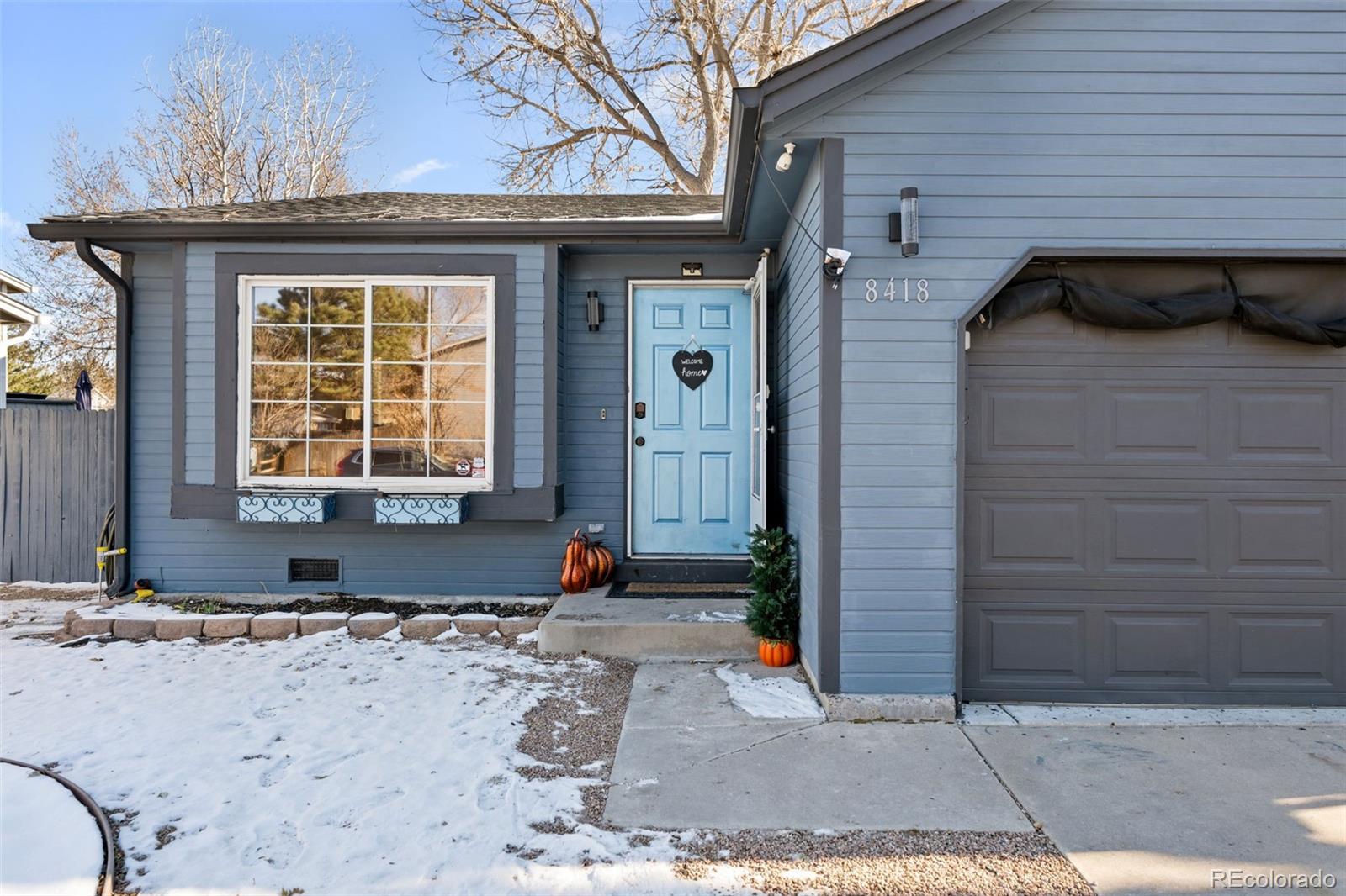 MLS Image #3 for 8418  wild alfalfa place,parker, Colorado