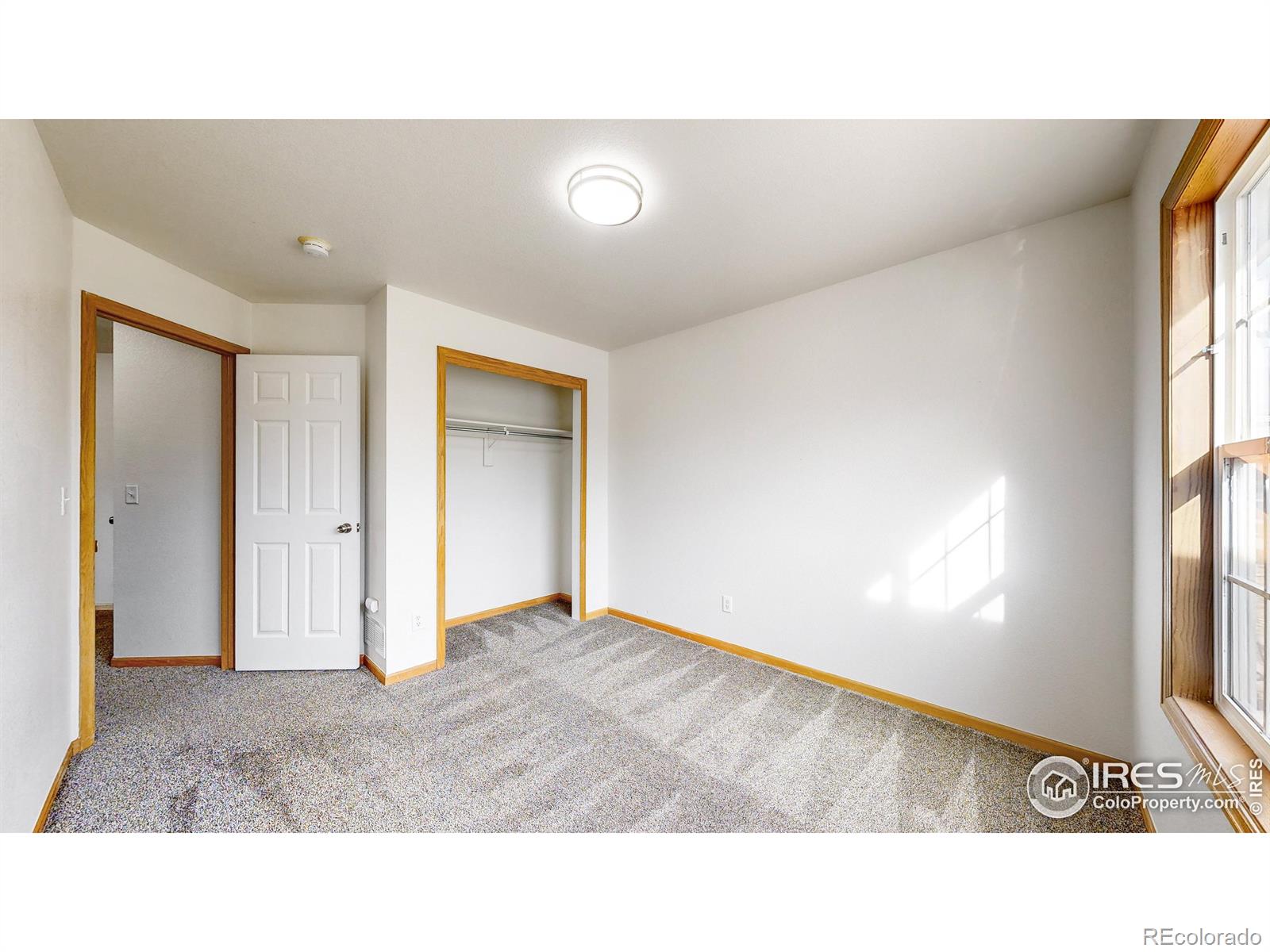 MLS Image #23 for 295 s tamera avenue,milliken, Colorado