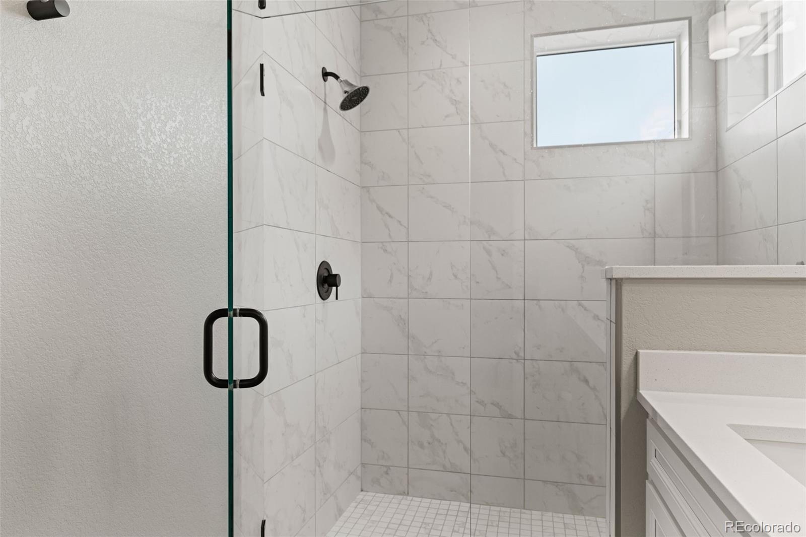 MLS Image #21 for 9071  southurst street,highlands ranch, Colorado