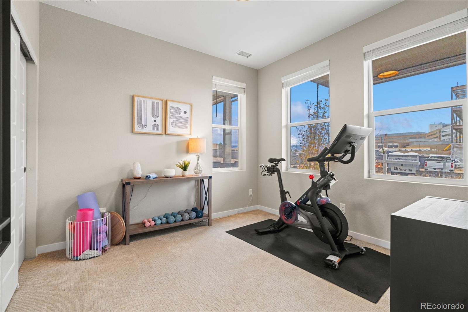 MLS Image #31 for 9071  southurst street,highlands ranch, Colorado