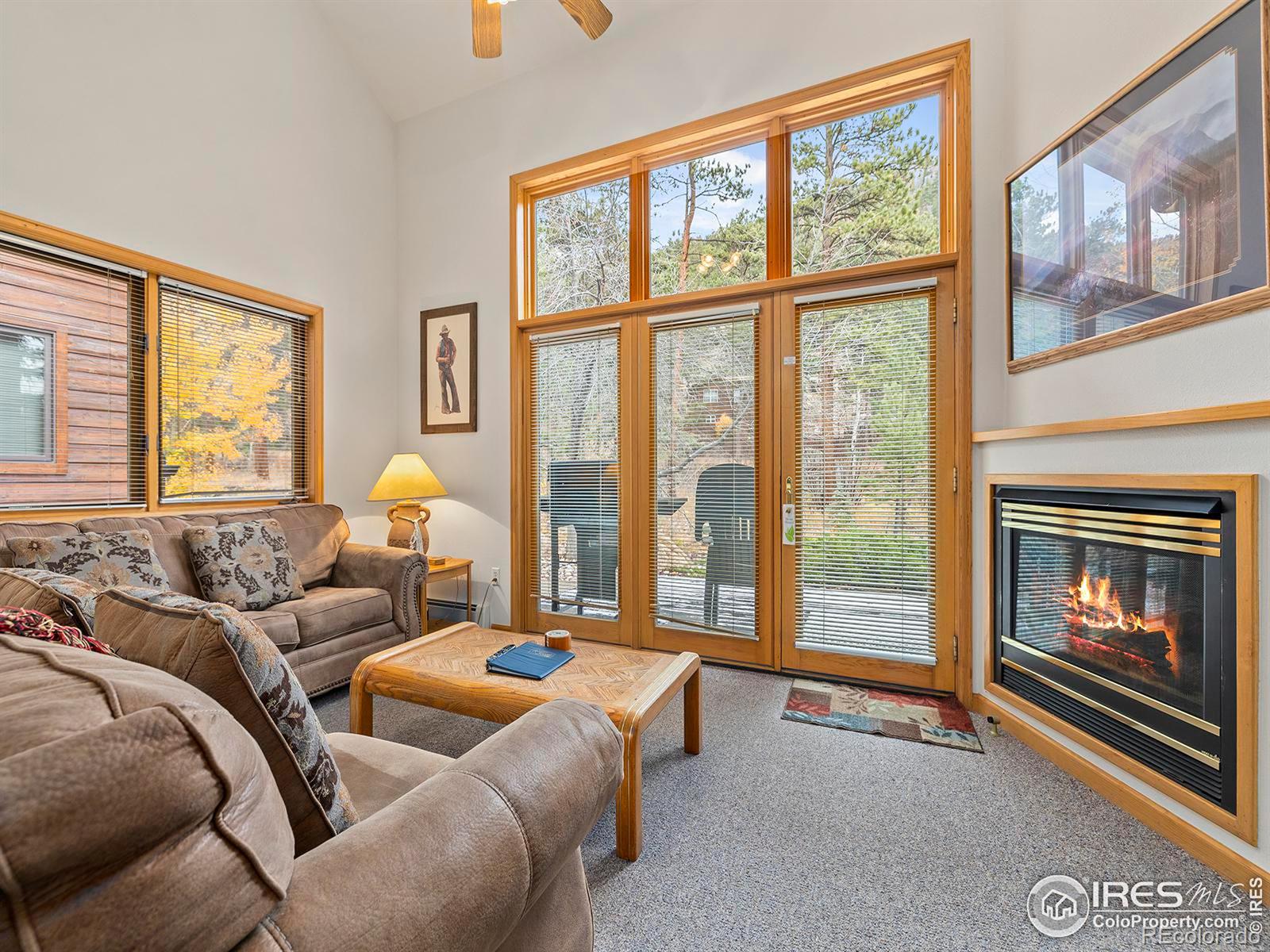 MLS Image #12 for 2120  fall river road,estes park, Colorado