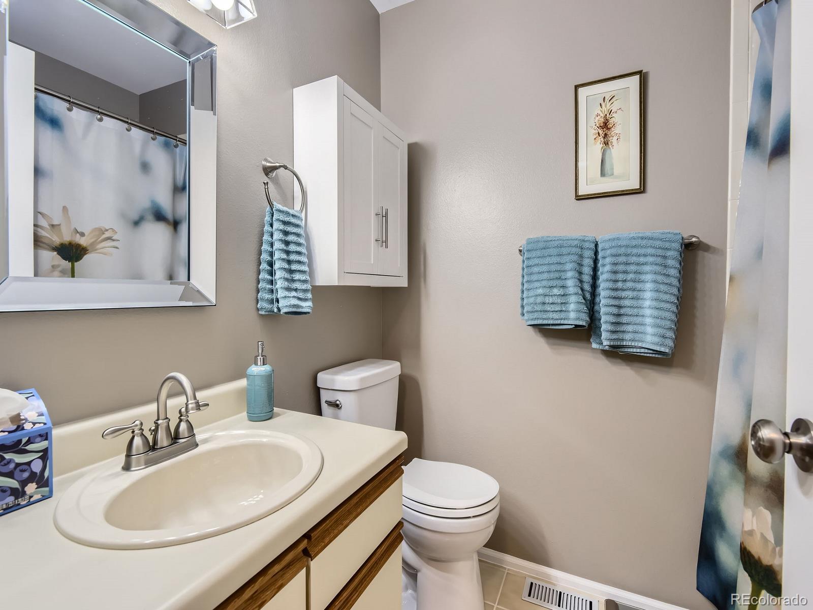 MLS Image #19 for 47  canongate lane,highlands ranch, Colorado