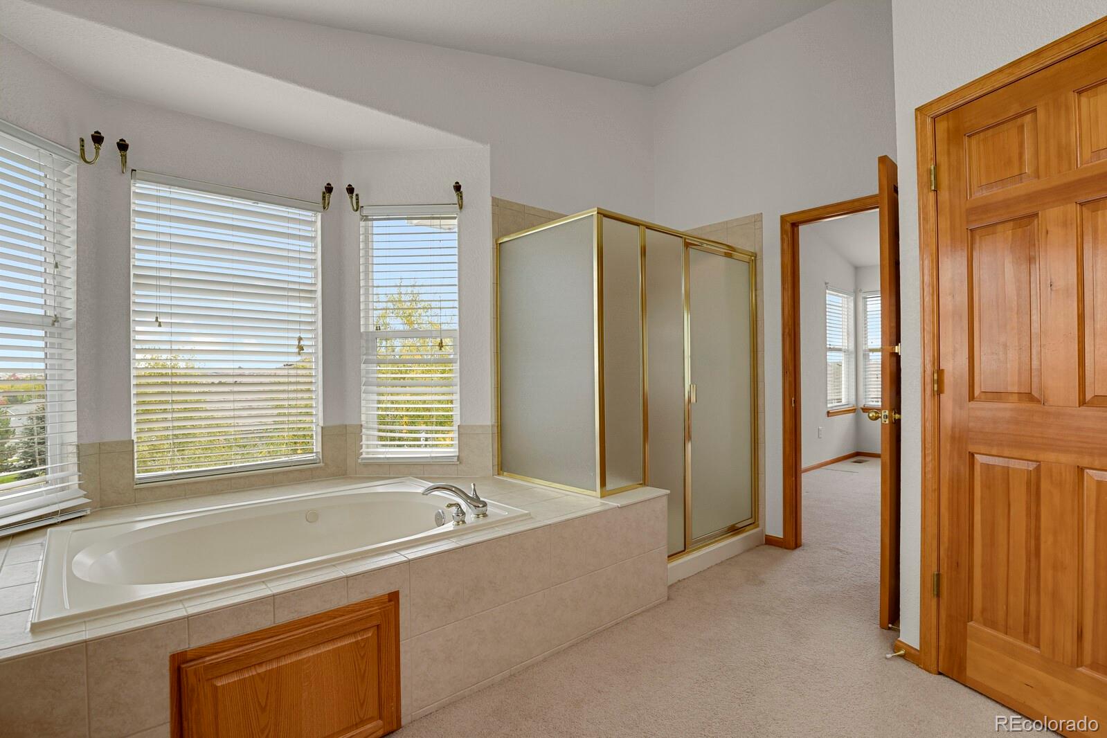 MLS Image #18 for 4478 s ireland lane,aurora, Colorado