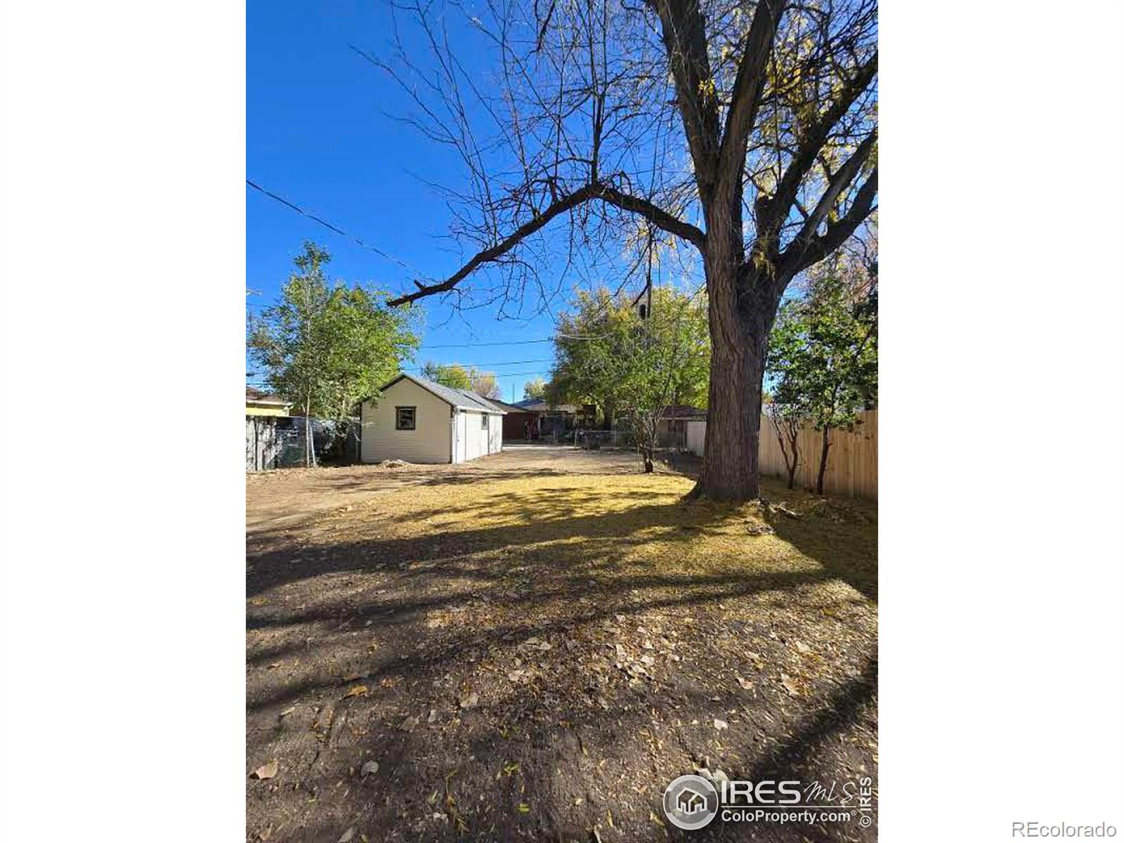 MLS Image #32 for 721  custer street,brush, Colorado