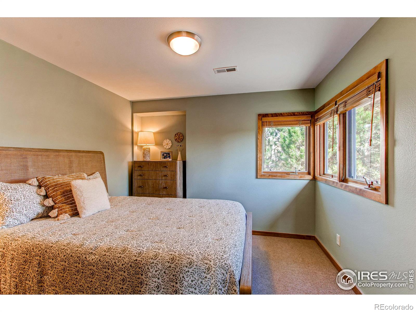 MLS Image #19 for 909  southridge greens boulevard,fort collins, Colorado