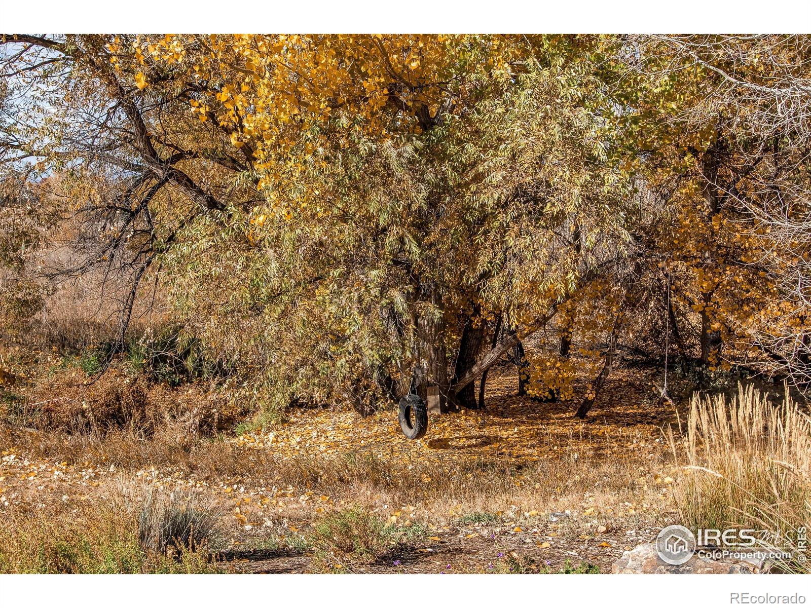 MLS Image #37 for 909  southridge greens boulevard,fort collins, Colorado