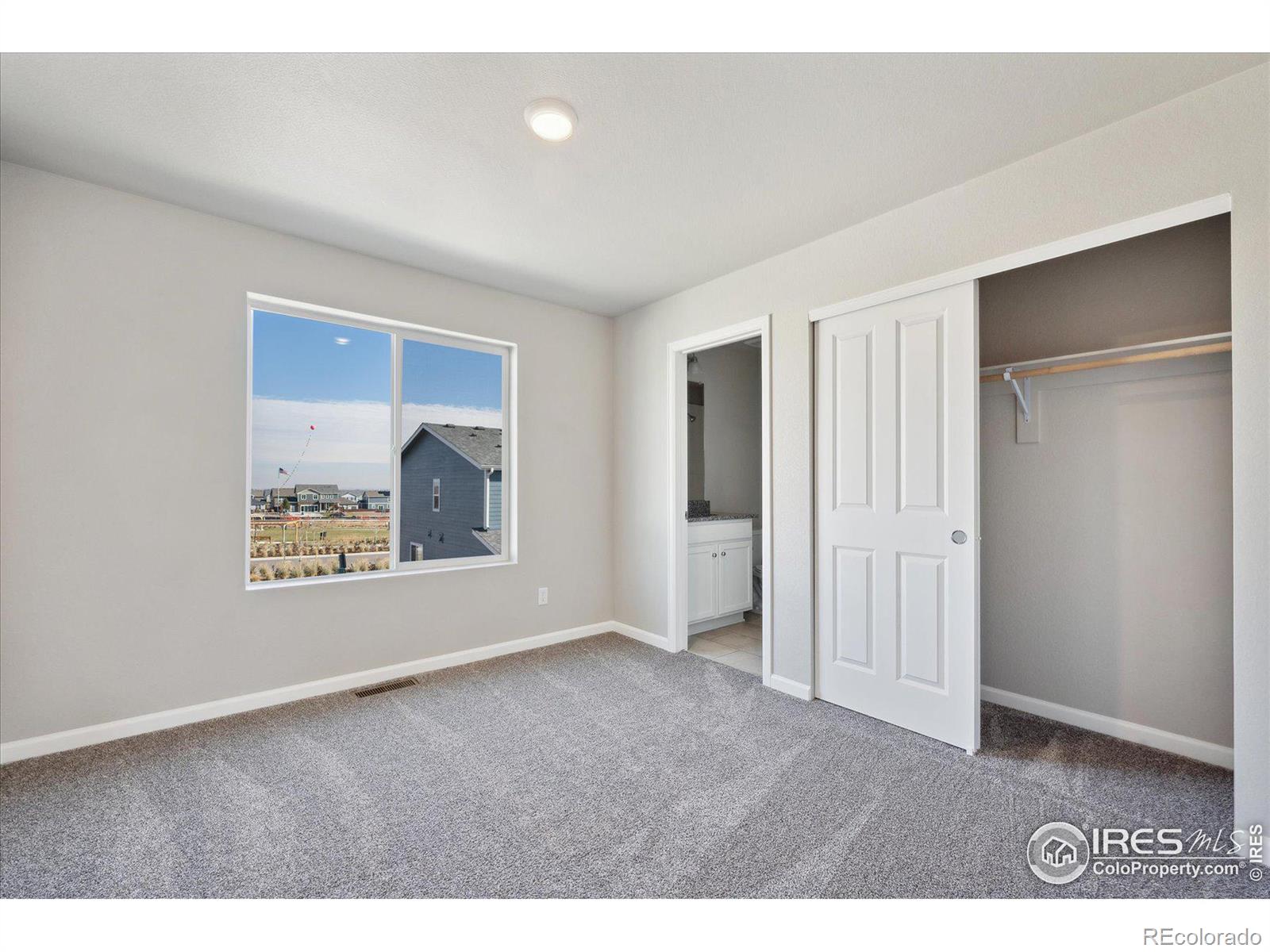 MLS Image #12 for 226  shoveler way,johnstown, Colorado