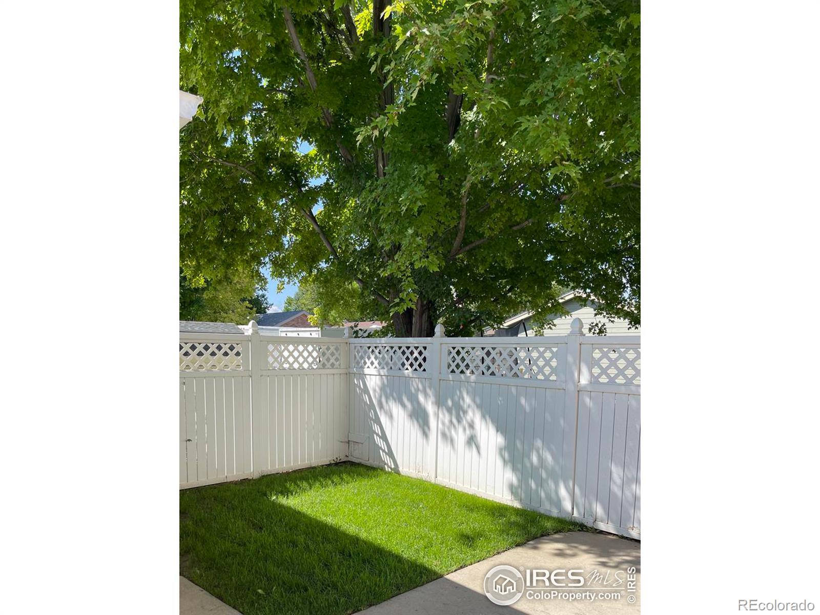 MLS Image #26 for 113 e iowa avenue,berthoud, Colorado