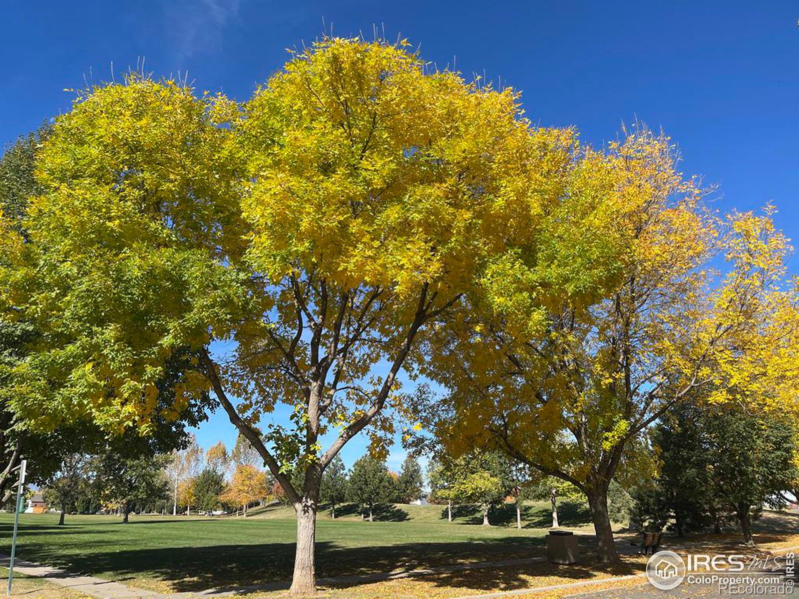 MLS Image #35 for 113 e iowa avenue,berthoud, Colorado