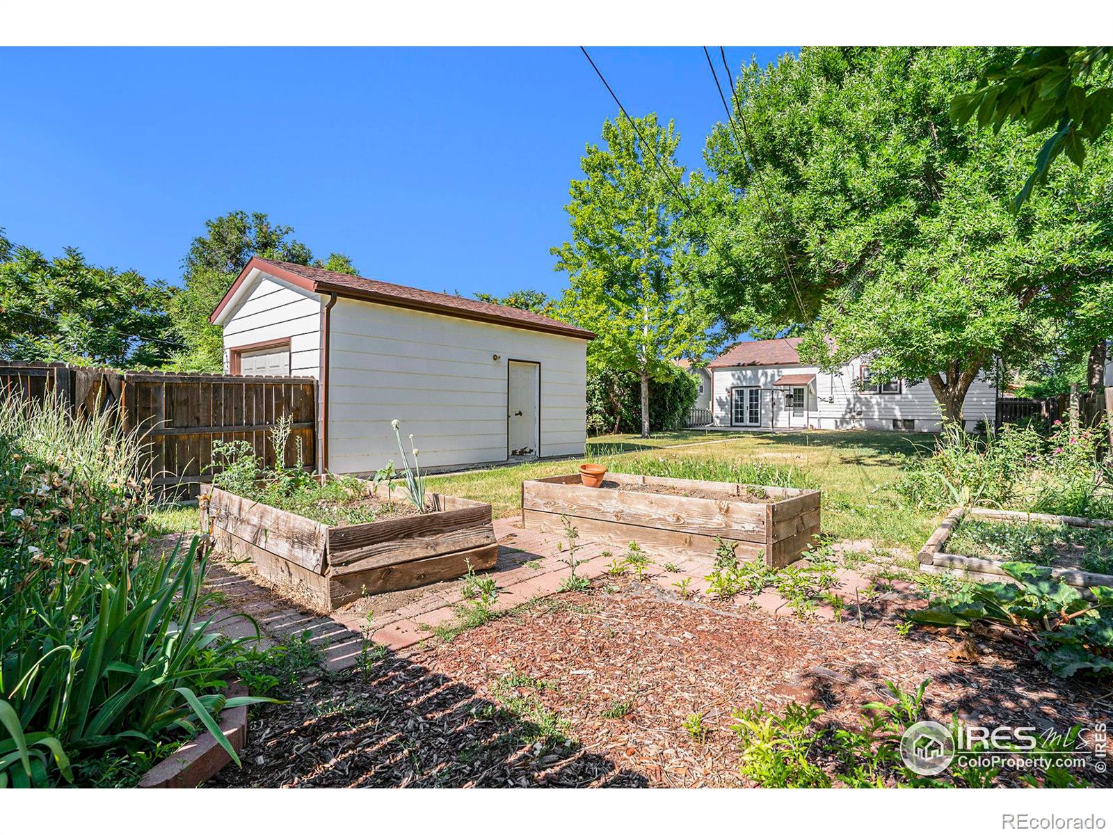 MLS Image #4 for 1520  washington avenue,loveland, Colorado