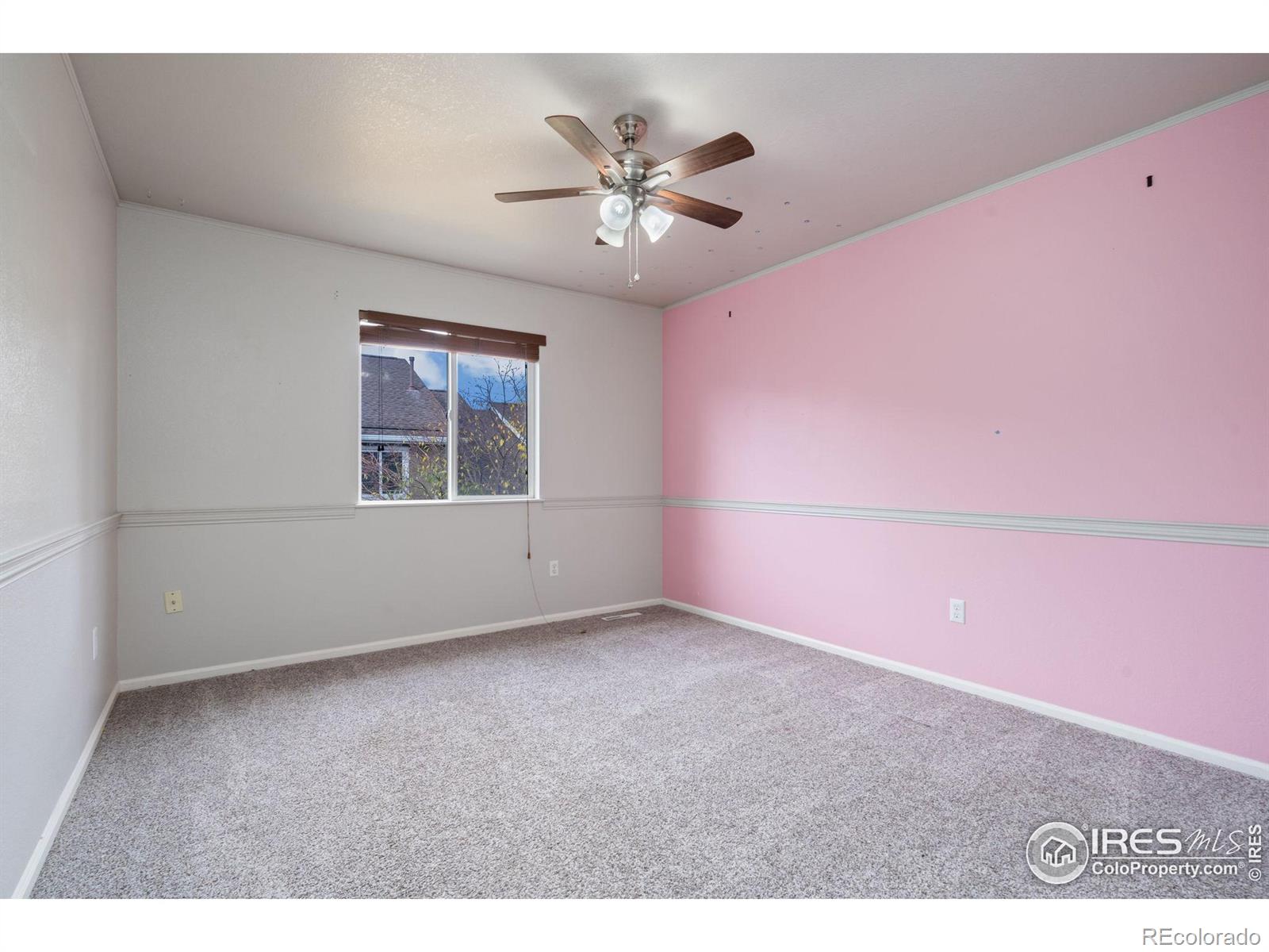 MLS Image #22 for 726  apple court,windsor, Colorado