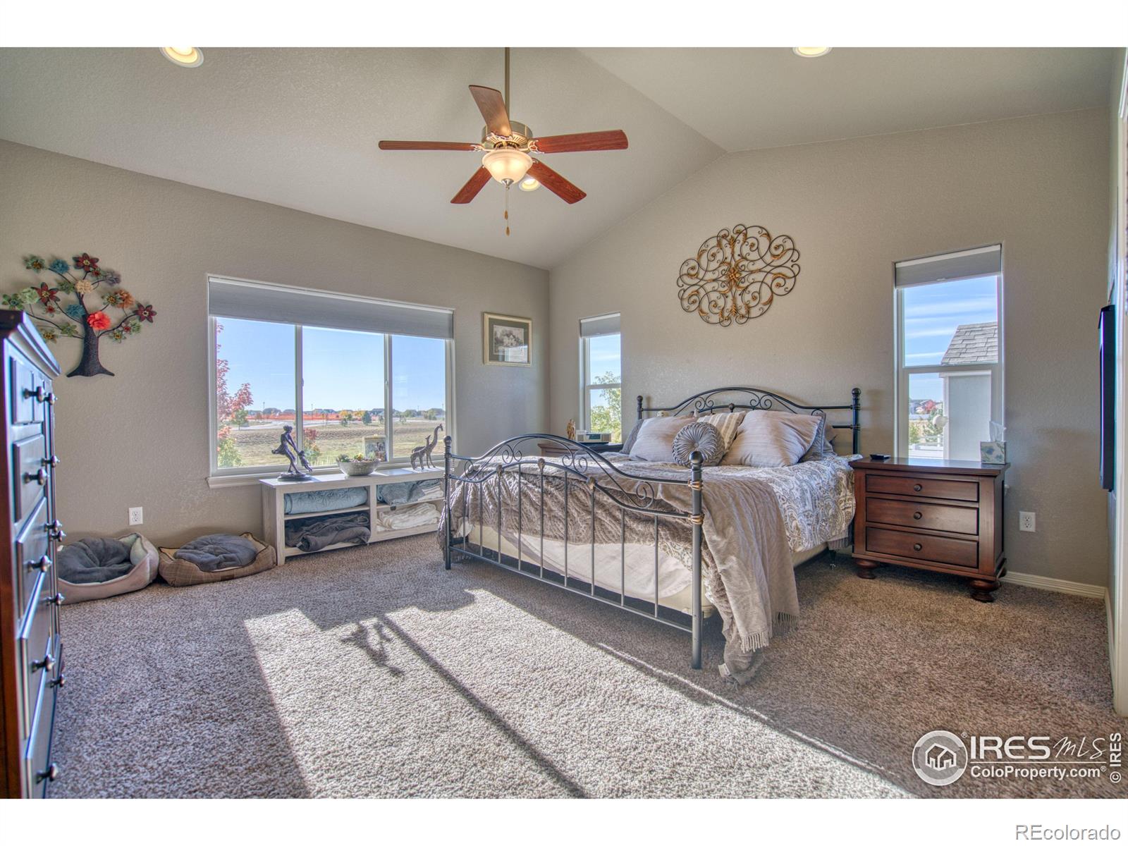 MLS Image #14 for 5403  bexley drive,windsor, Colorado