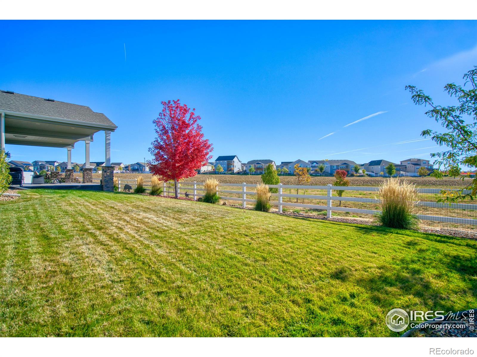 MLS Image #29 for 5403  bexley drive,windsor, Colorado