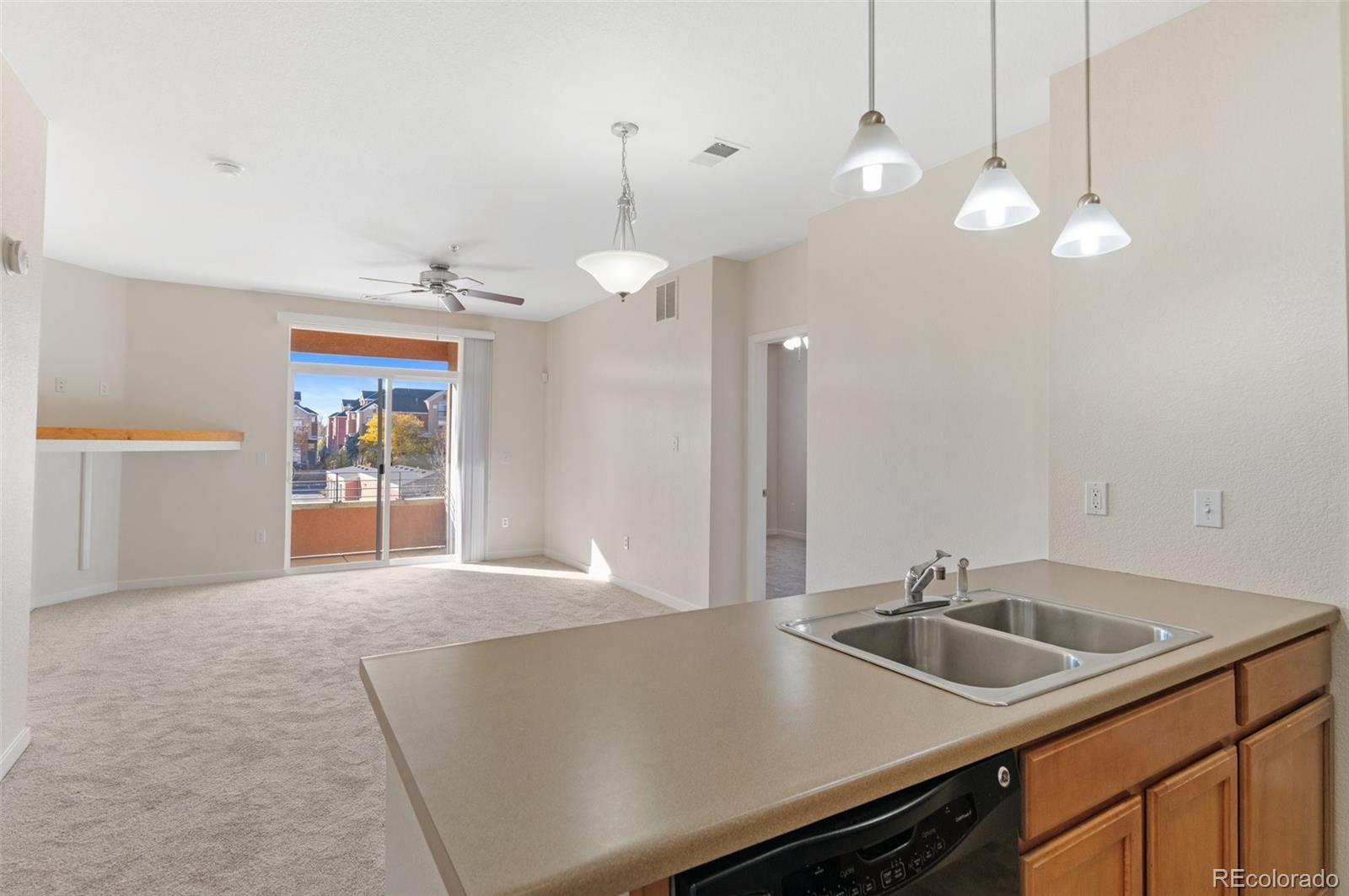 MLS Image #13 for 4100  albion street,denver, Colorado