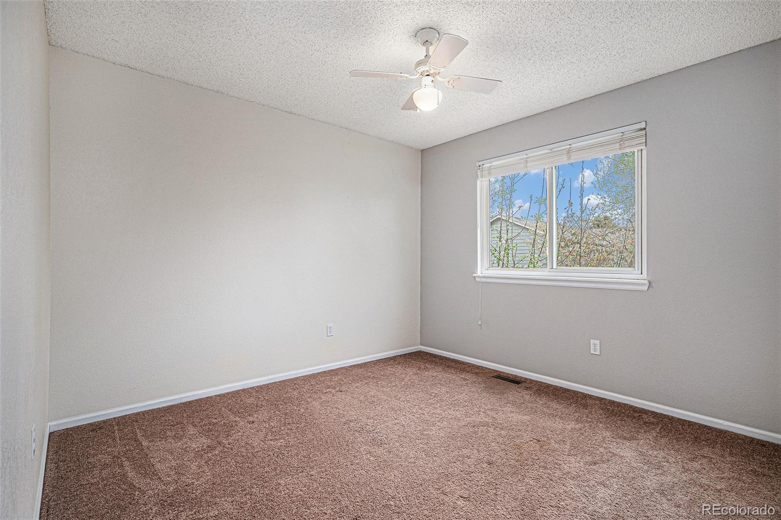 MLS Image #19 for 4028  ashcroft avenue,castle rock, Colorado