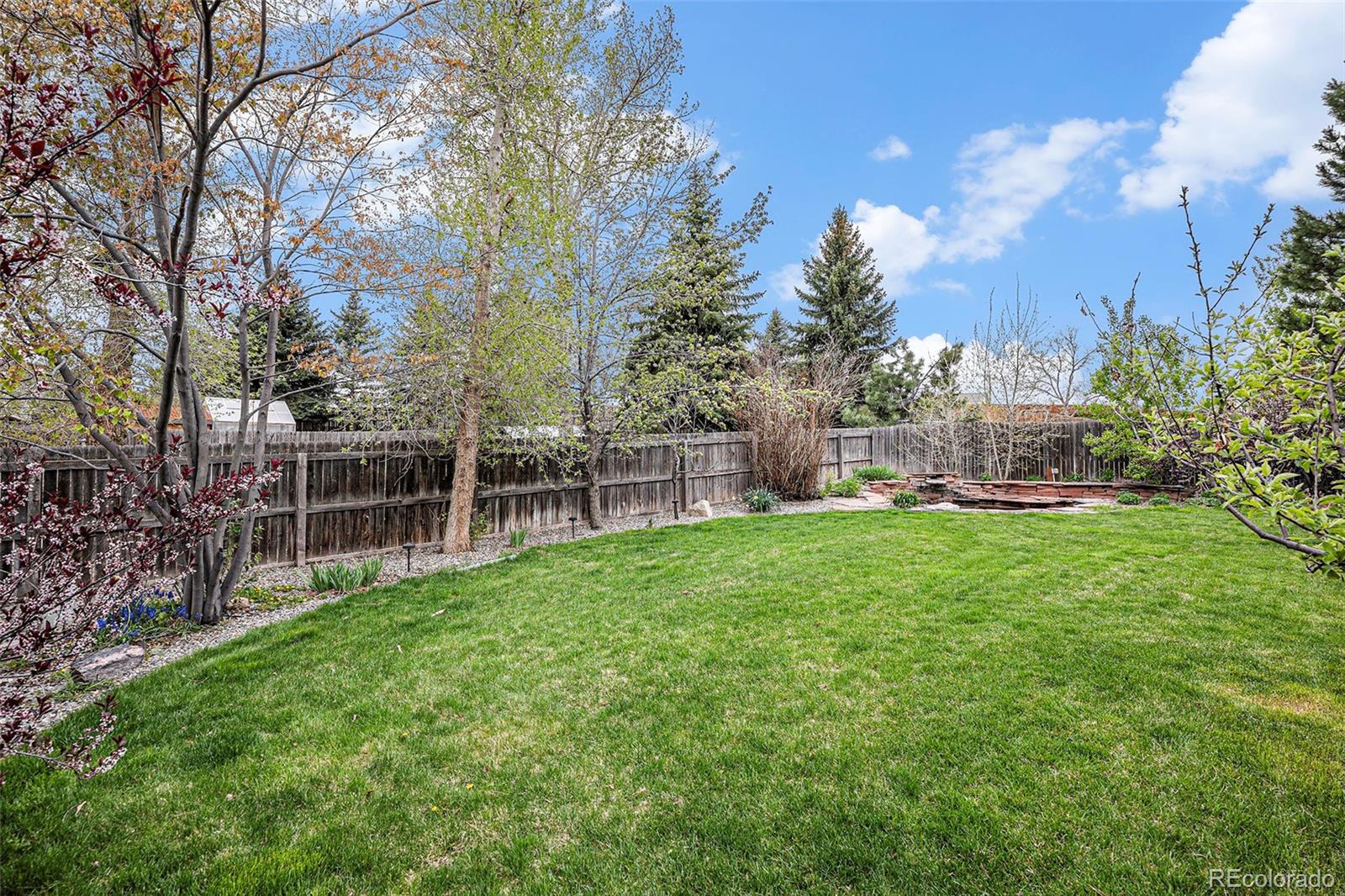 MLS Image #28 for 4028  ashcroft avenue,castle rock, Colorado