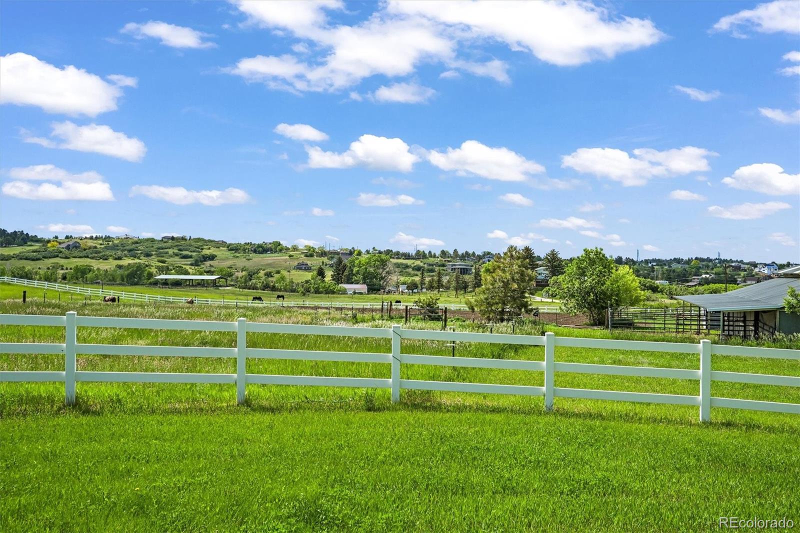 MLS Image #10 for 595 w oak hill lane,castle rock, Colorado