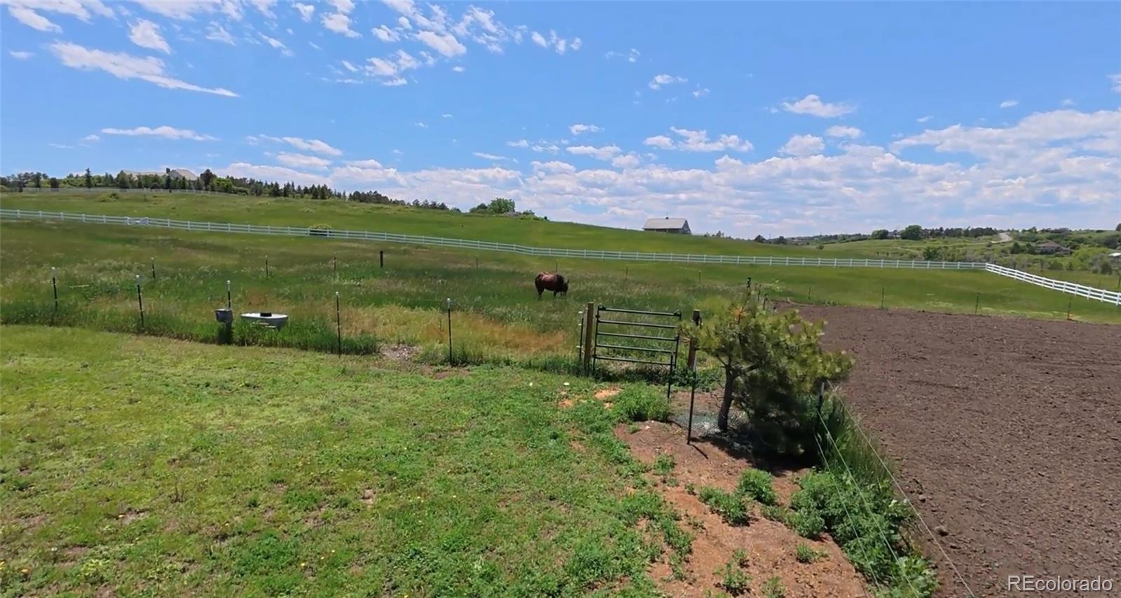 MLS Image #34 for 595 w oak hill lane,castle rock, Colorado