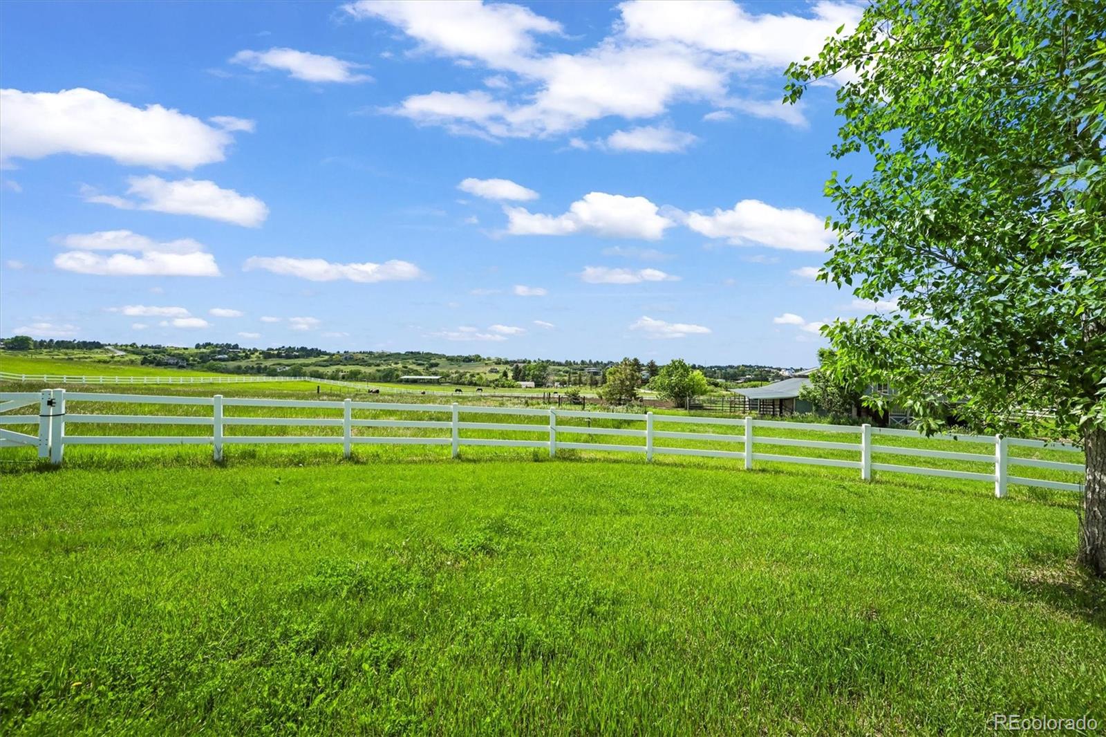MLS Image #9 for 595 w oak hill lane,castle rock, Colorado