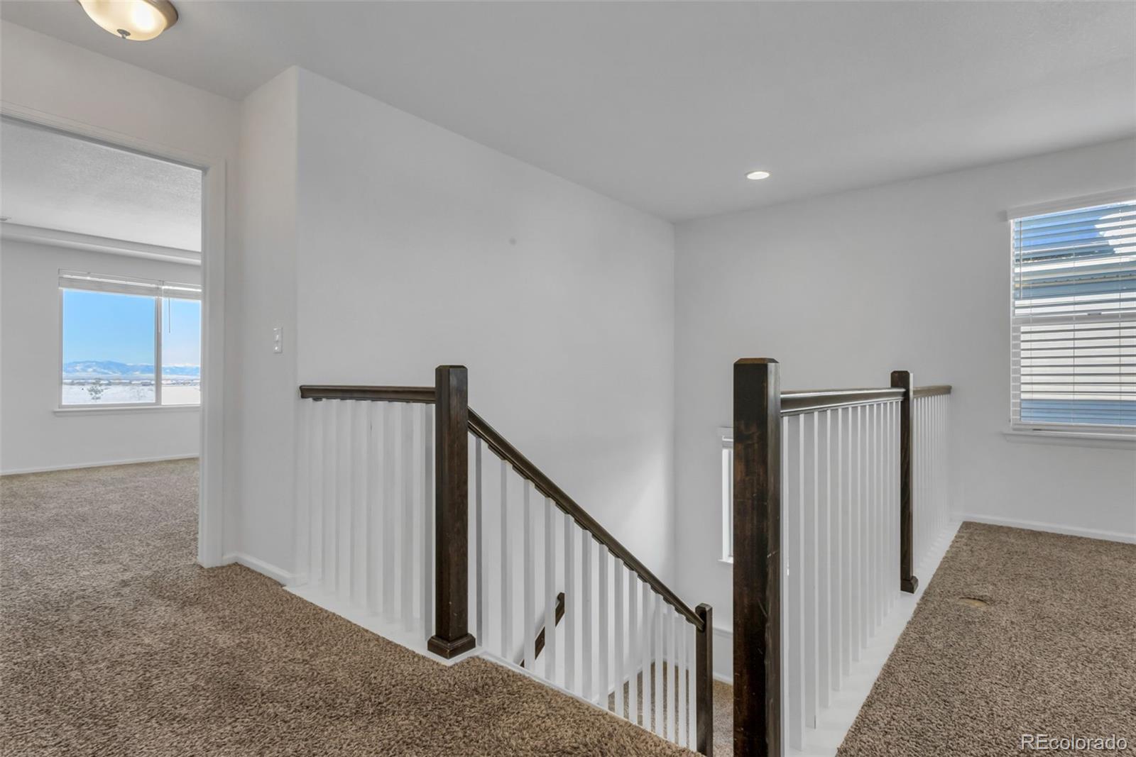 MLS Image #17 for 5241  truckee street,denver, Colorado