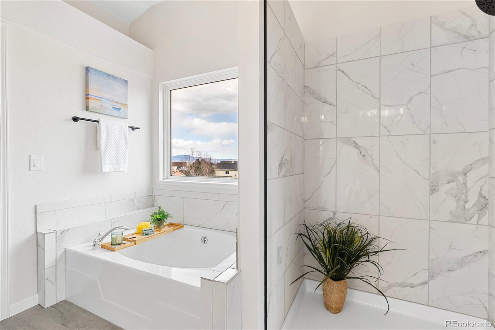 MLS Image #21 for 2515  heathrow drive,colorado springs, Colorado