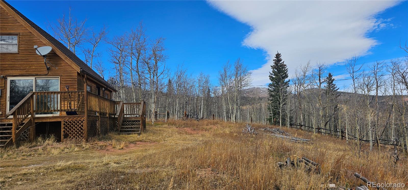 MLS Image #4 for 563  palmer peak drive,fairplay, Colorado