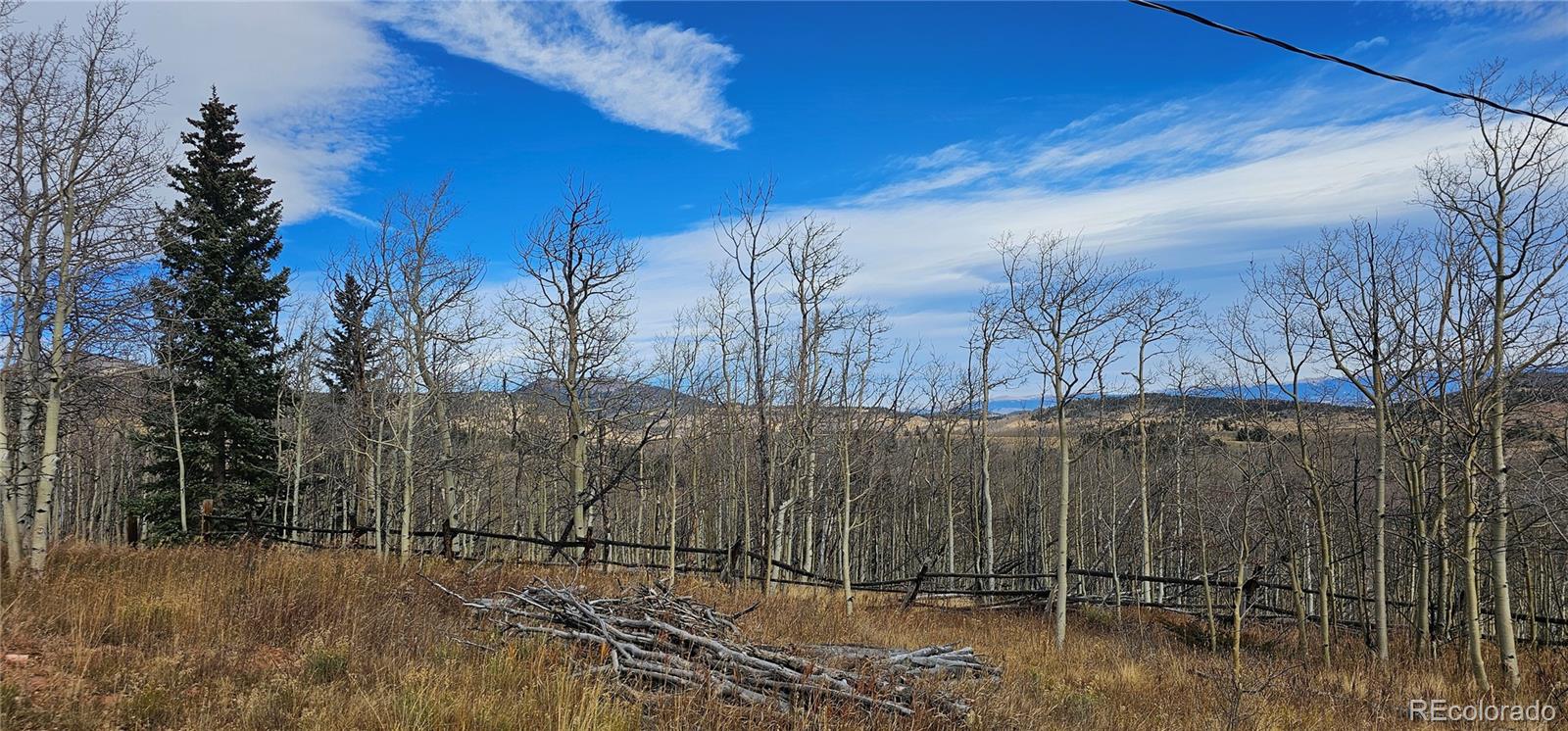 MLS Image #5 for 563  palmer peak drive,fairplay, Colorado