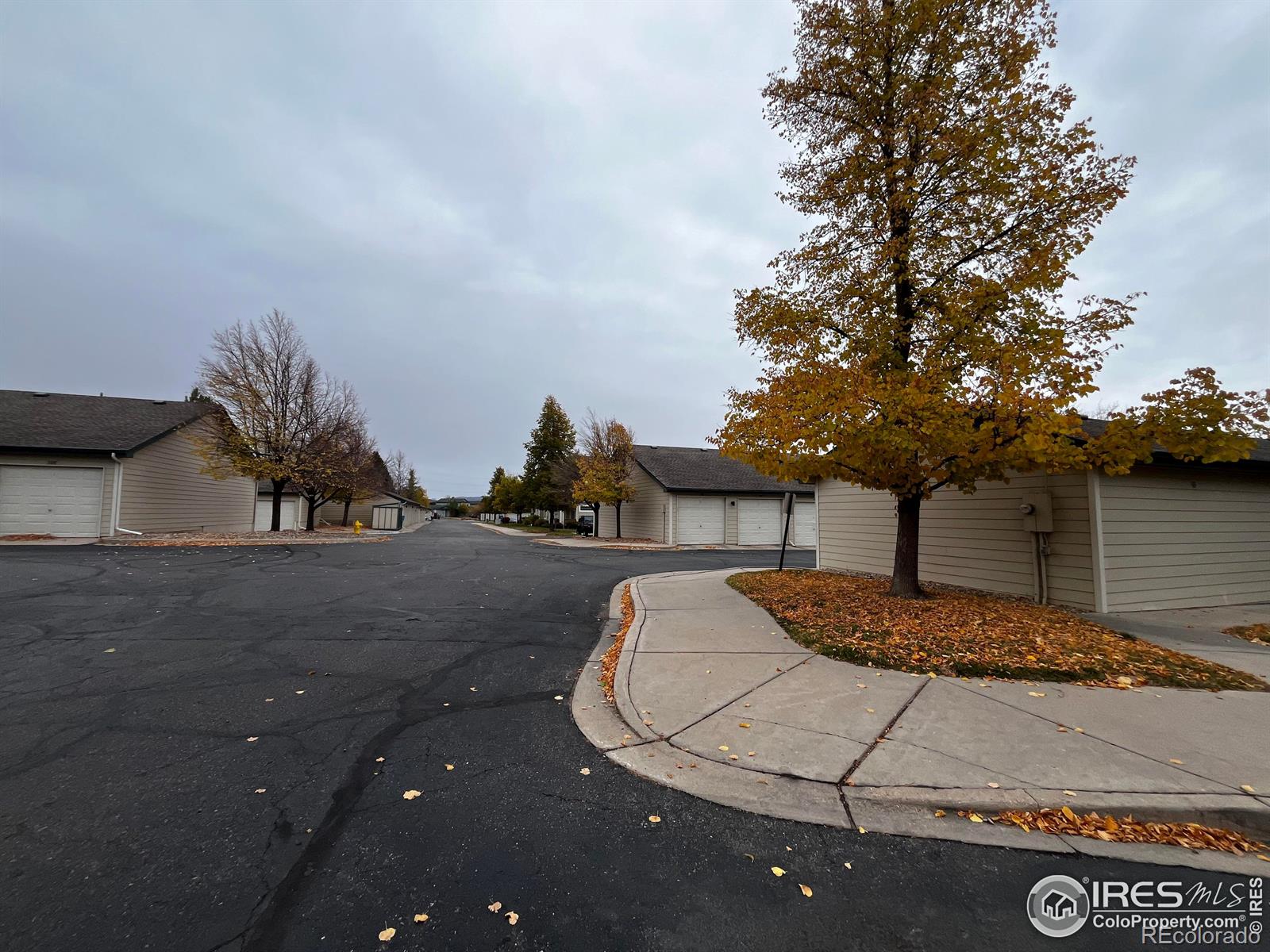 MLS Image #32 for 3002 w elizabeth street,fort collins, Colorado