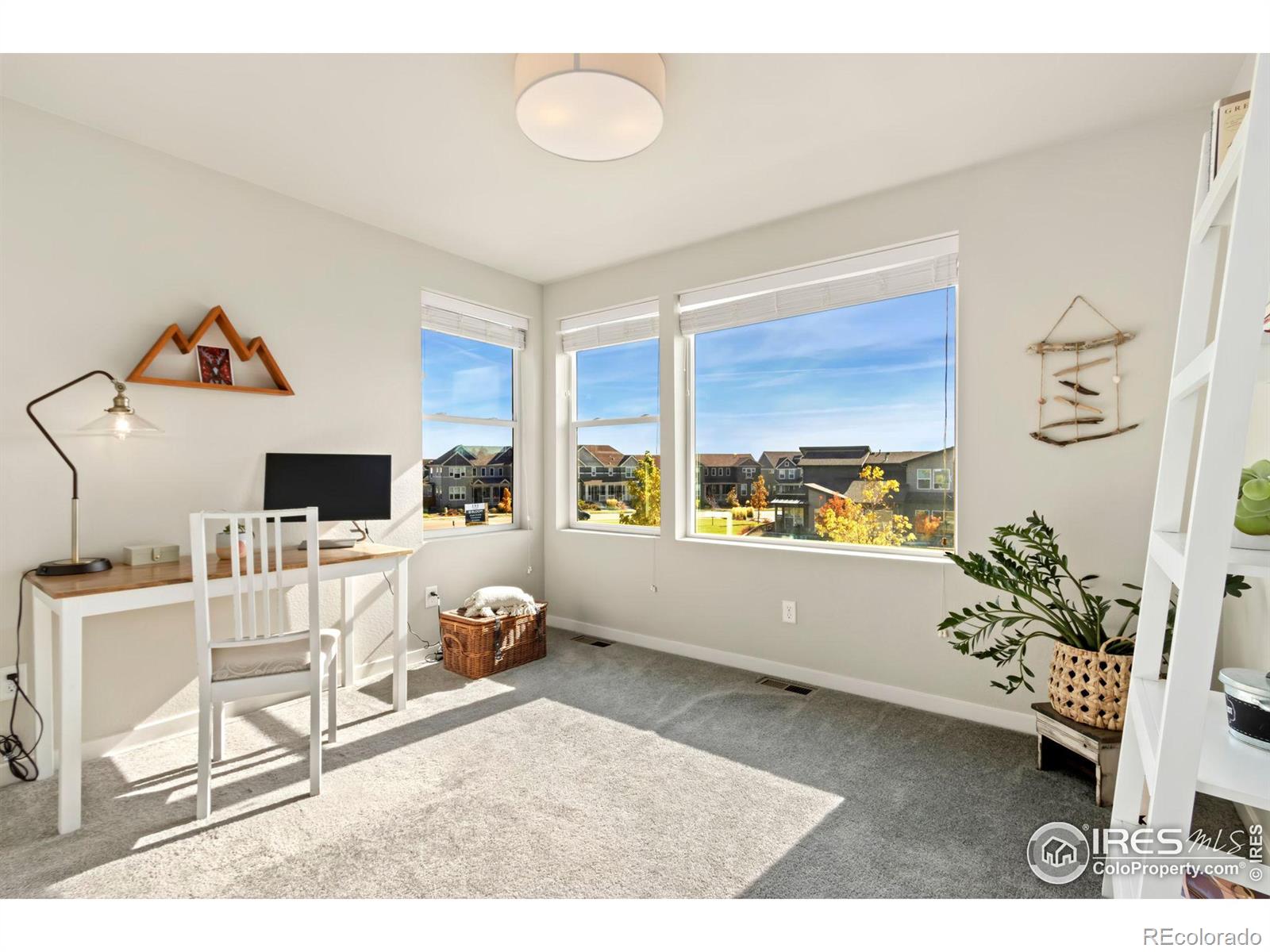 MLS Image #19 for 2656  sykes drive,fort collins, Colorado