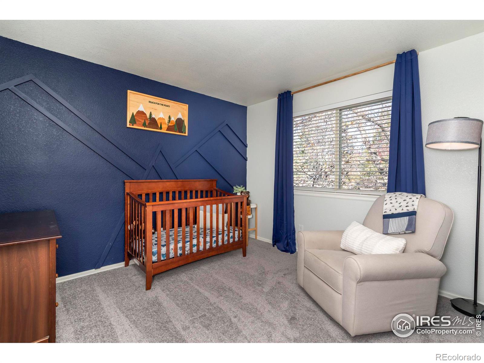 MLS Image #25 for 979  ridgeview avenue,broomfield, Colorado