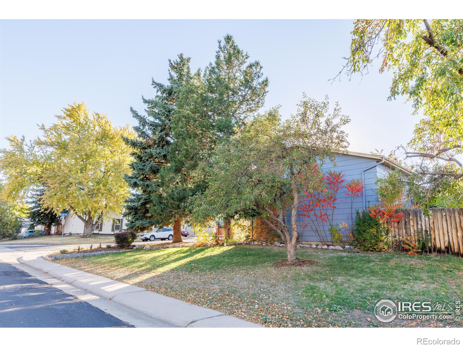 MLS Image #30 for 1609  cedar street,broomfield, Colorado