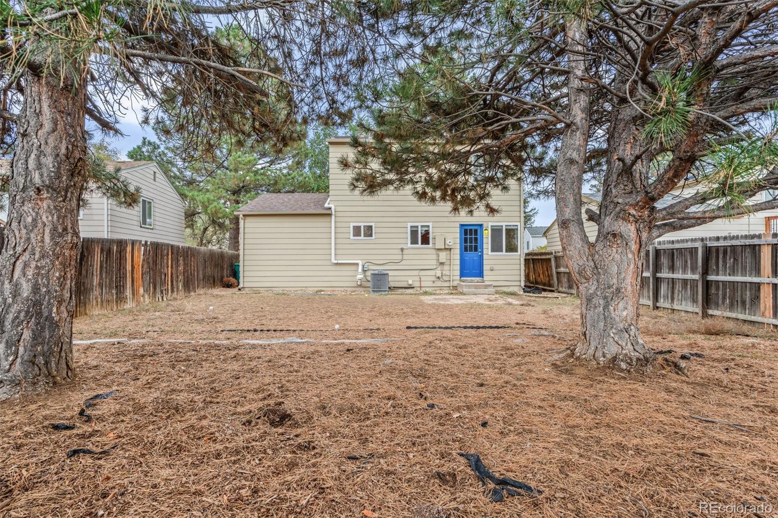 MLS Image #20 for 10675  newcombe street,broomfield, Colorado