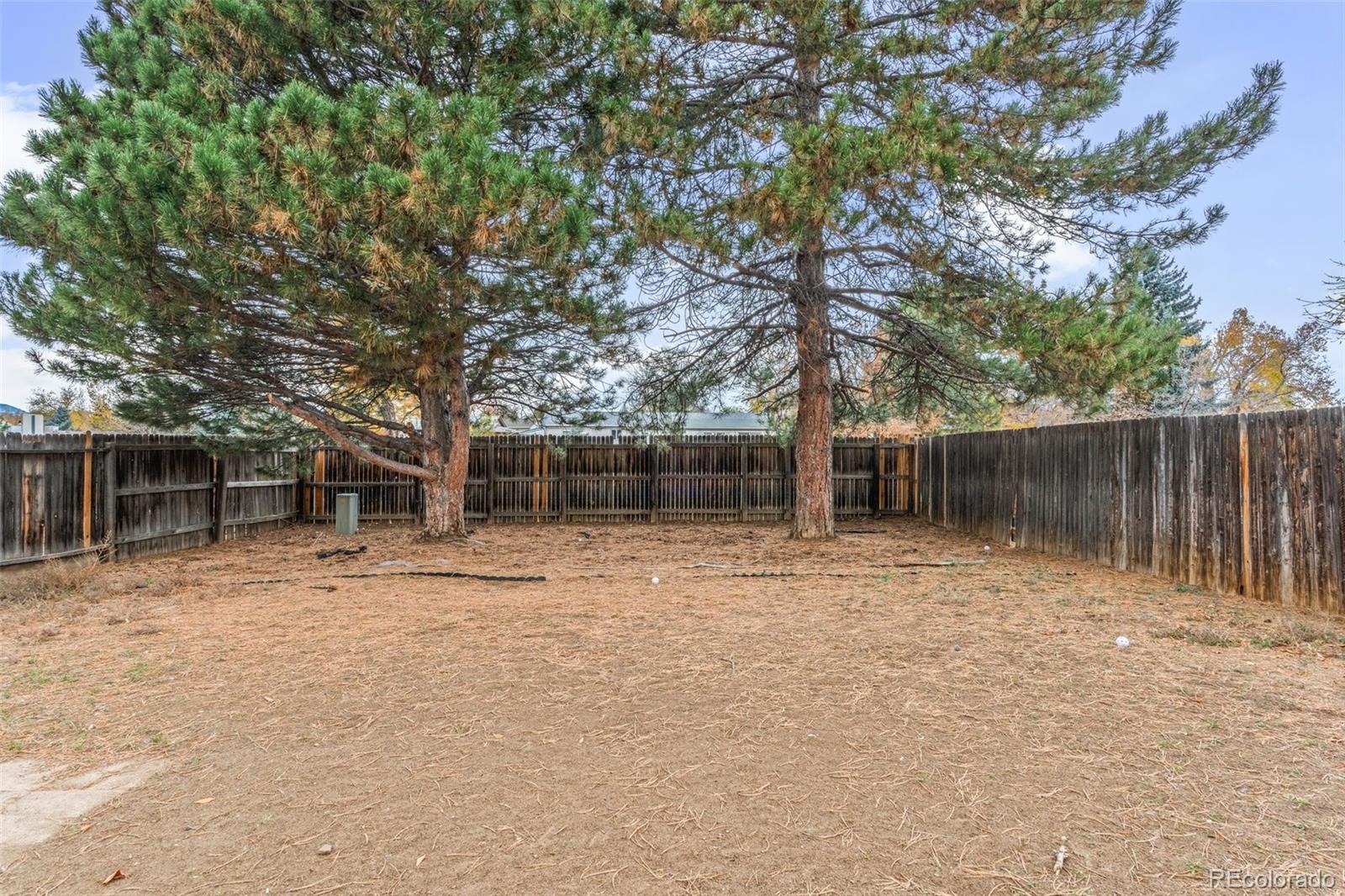 MLS Image #21 for 10675  newcombe street,broomfield, Colorado