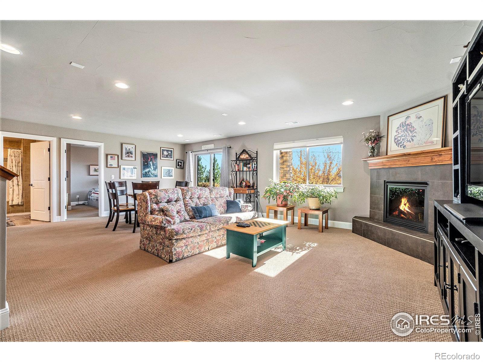 MLS Image #27 for 102  scenic court,loveland, Colorado