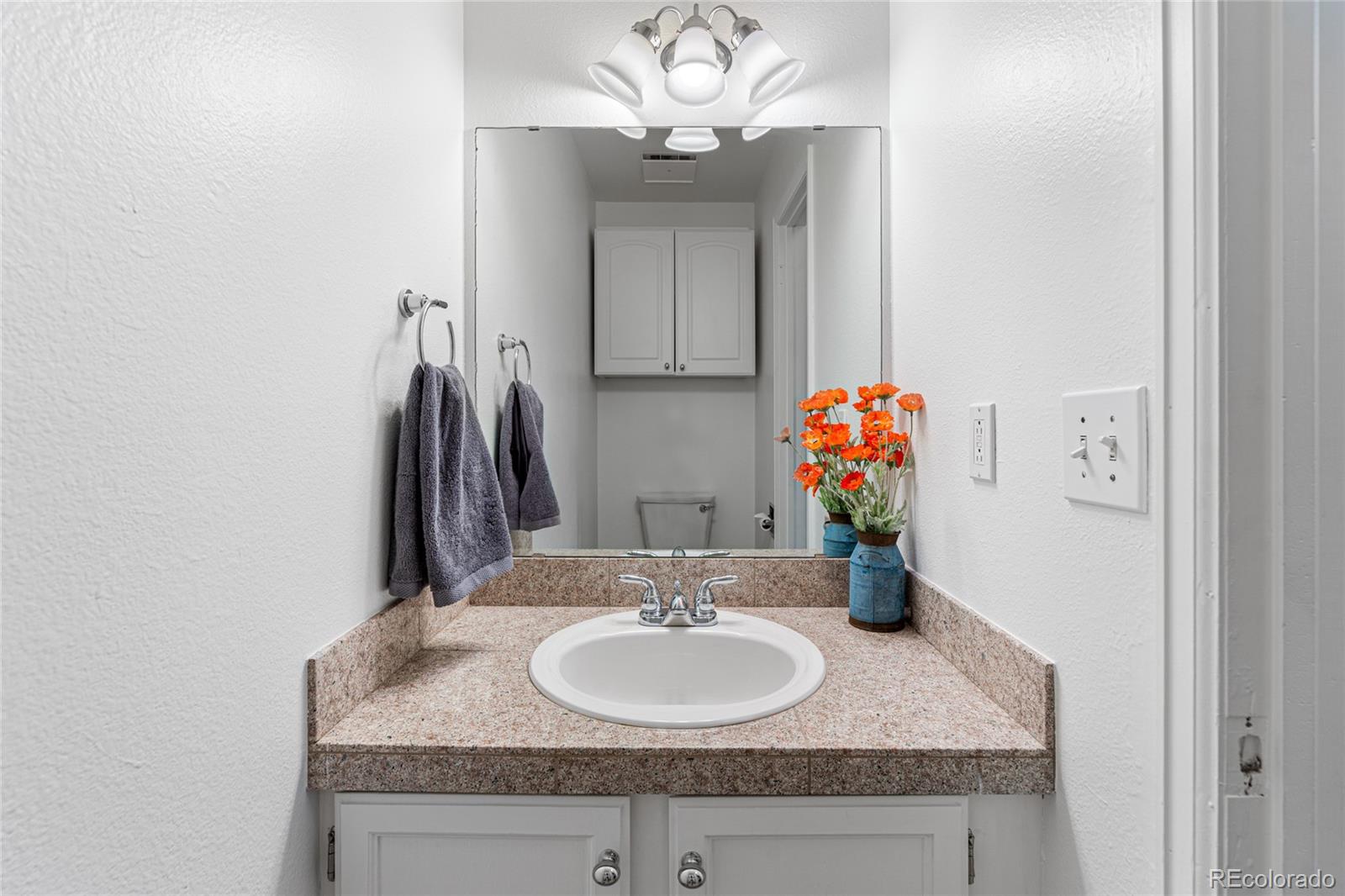 MLS Image #14 for 1307  baker street,longmont, Colorado