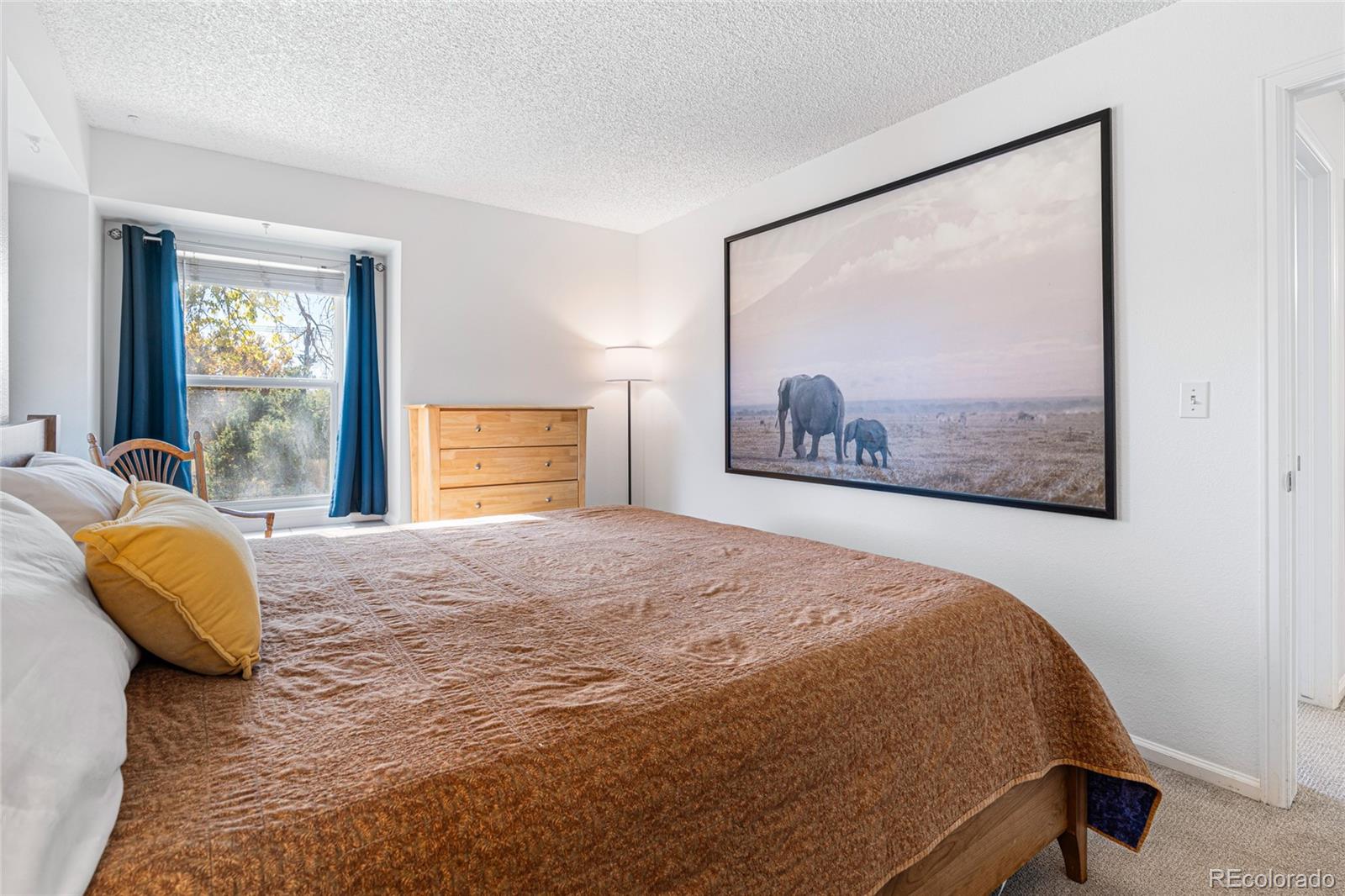 MLS Image #15 for 1307  baker street,longmont, Colorado