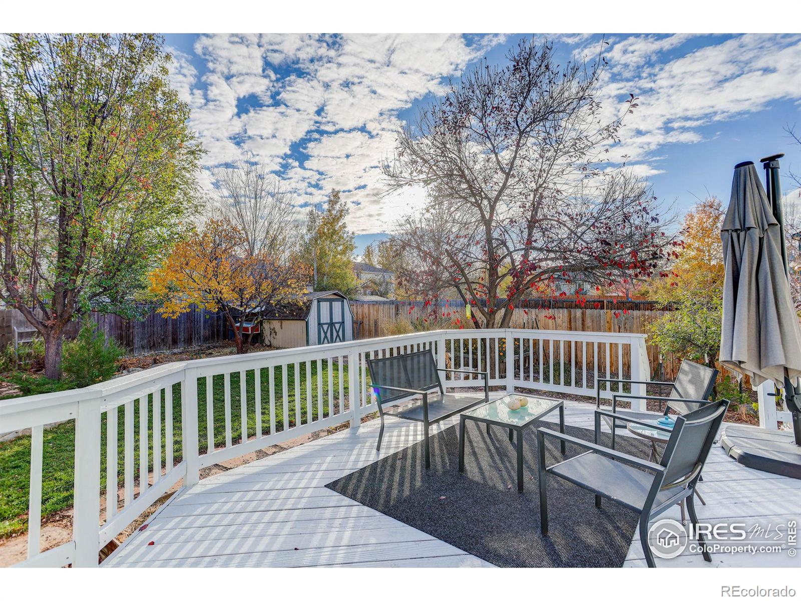 MLS Image #30 for 3580  leopard street,loveland, Colorado